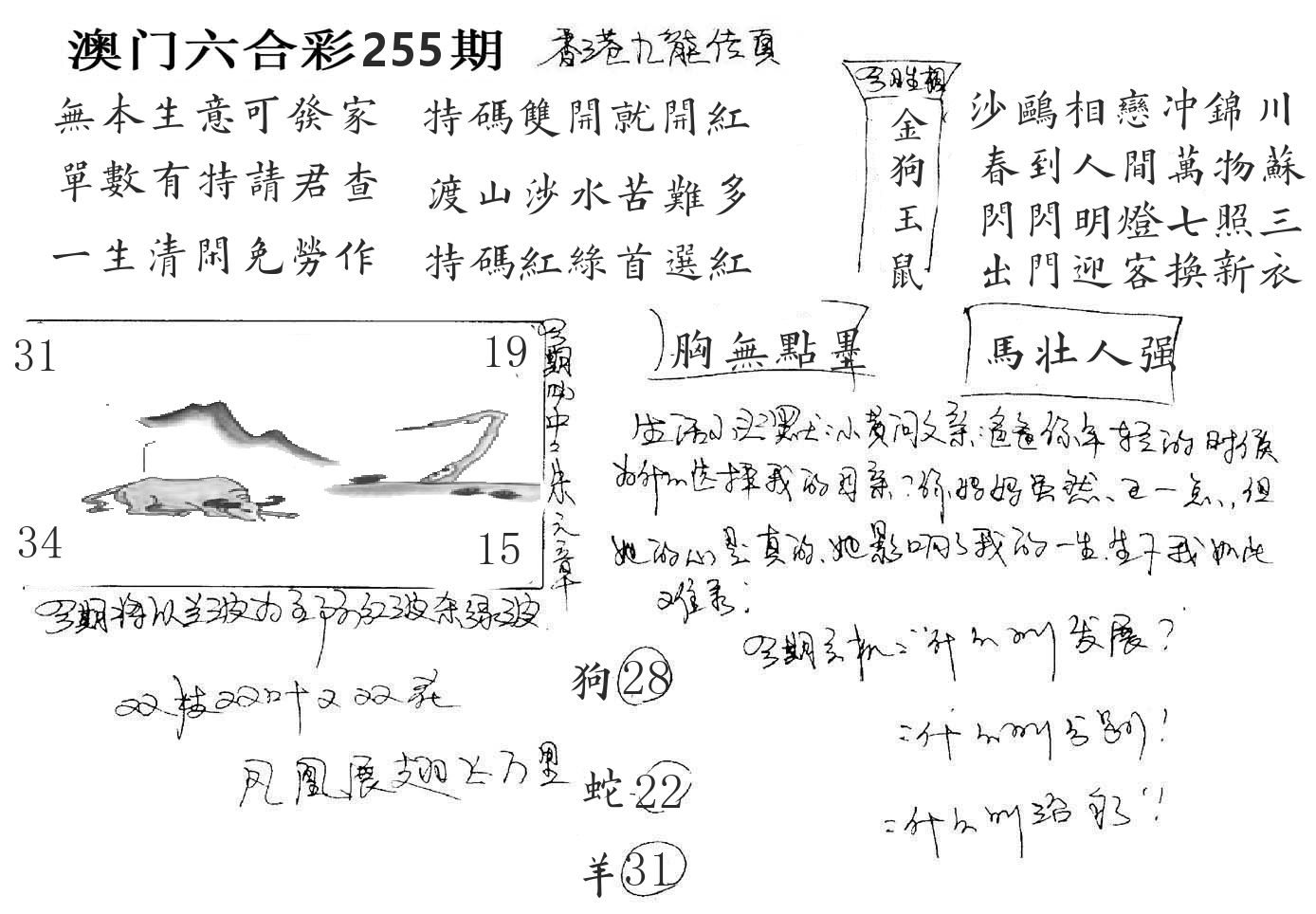 澳门手写九龙 第255期