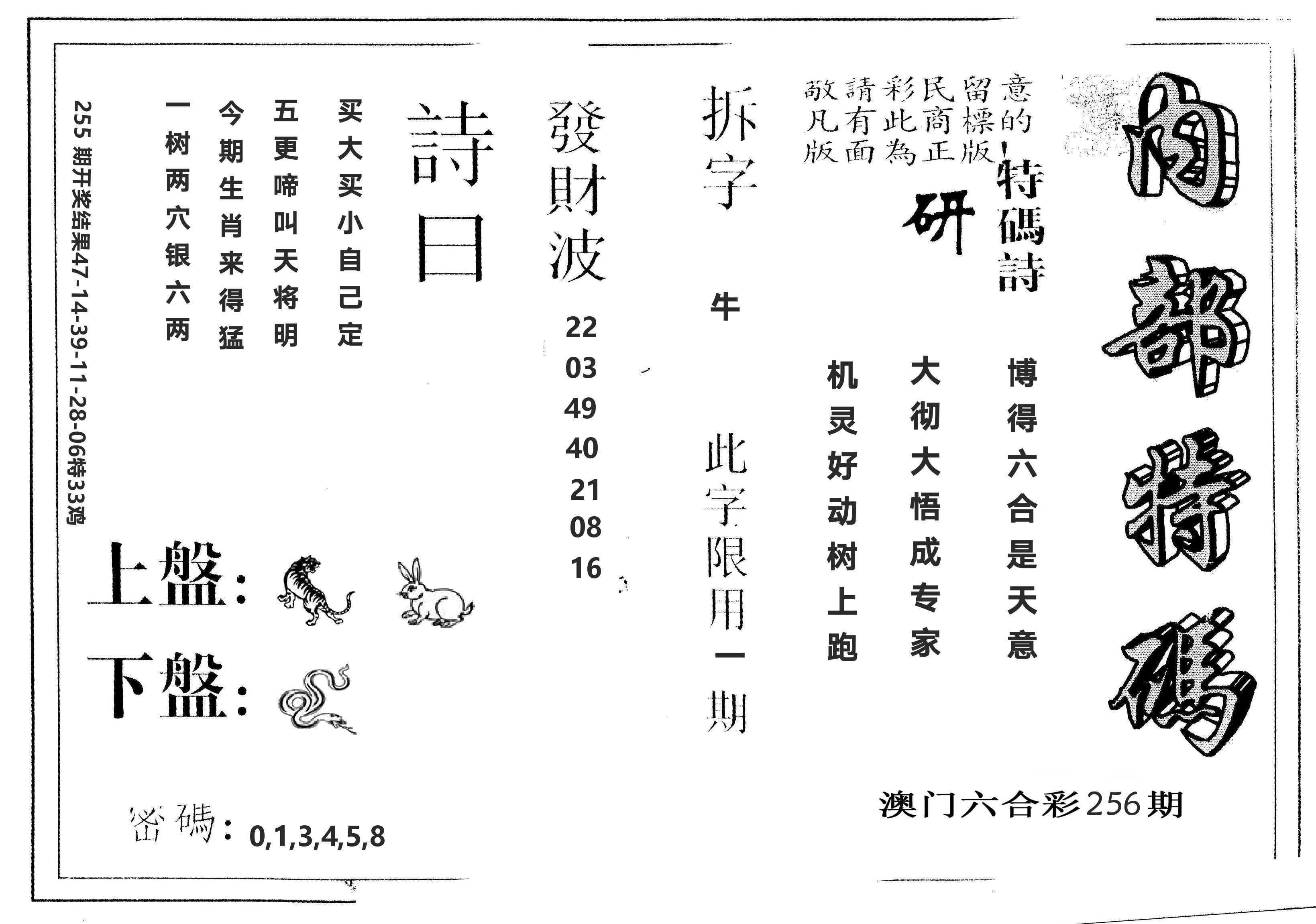 另版内部特码 第256期