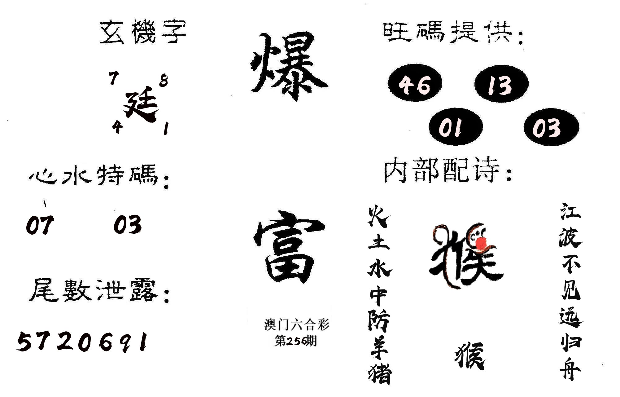 爆富 第256期
