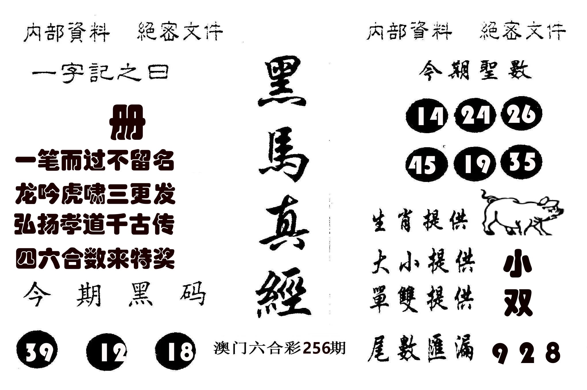 黑马真经 第256期