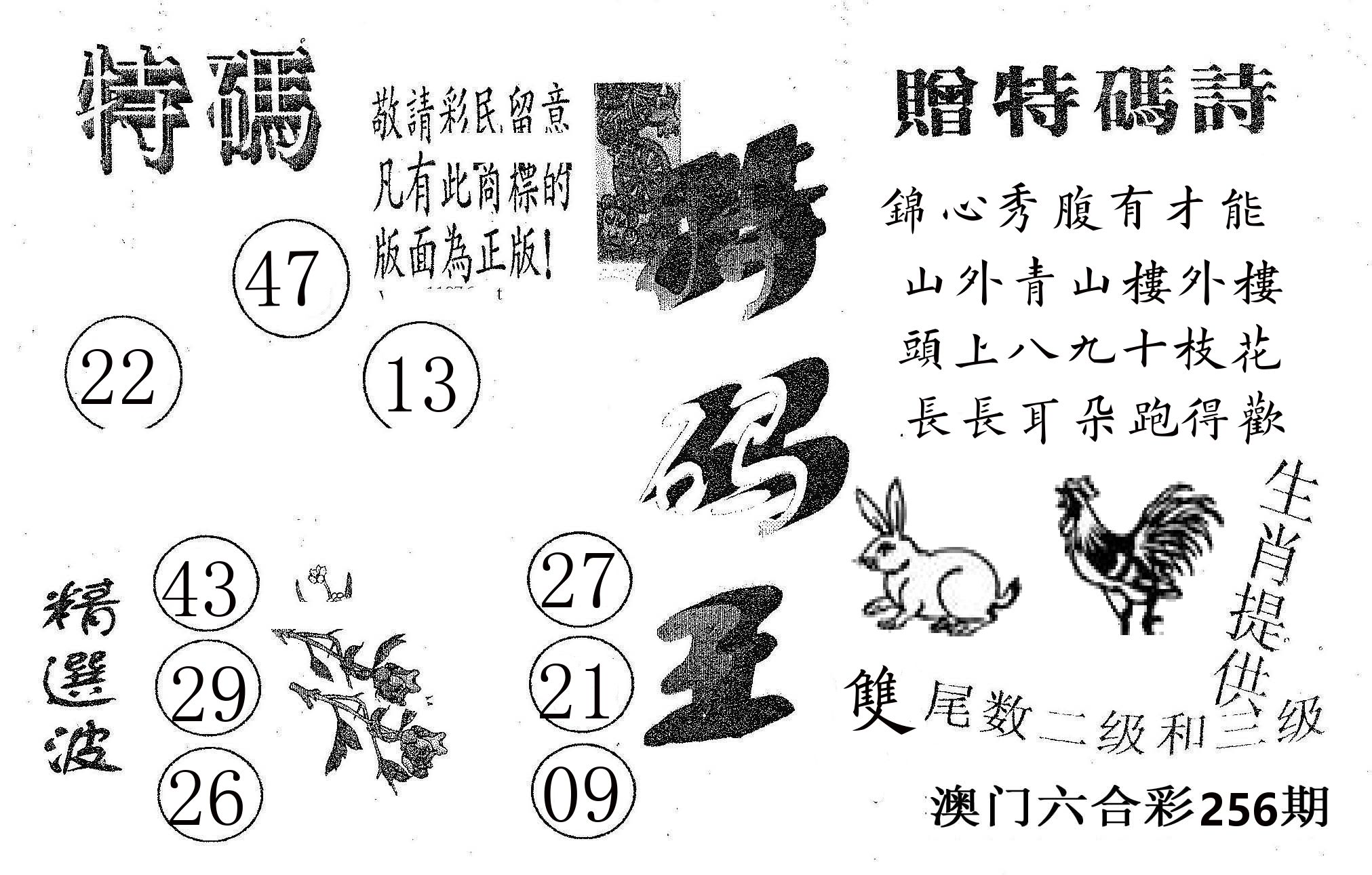 特码王A 第256期