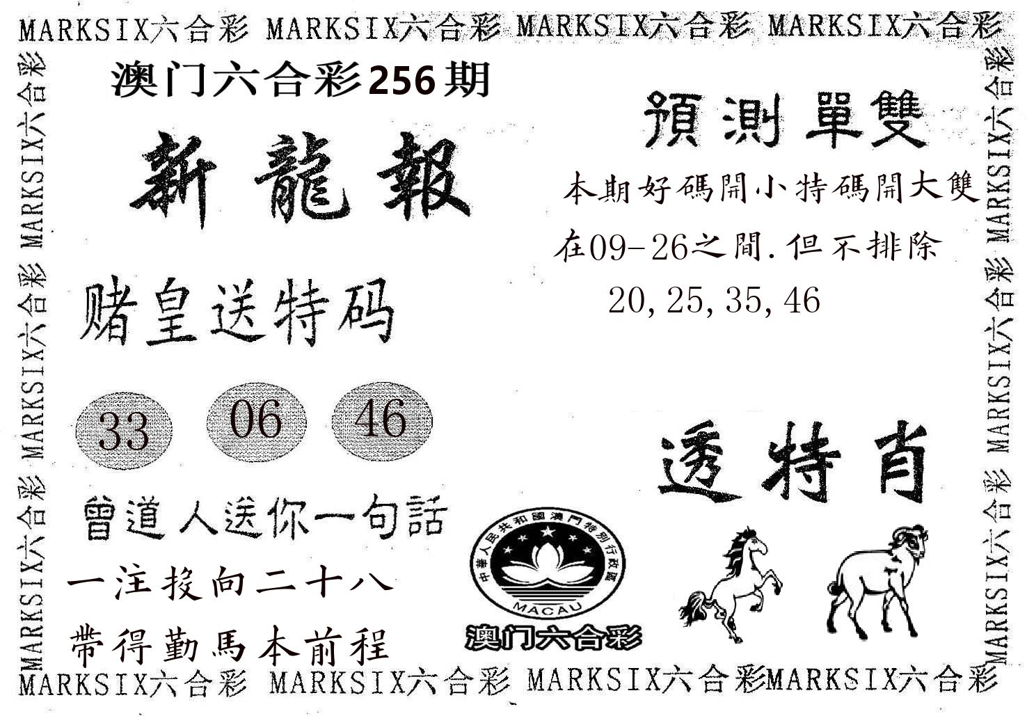 新龙报 第256期