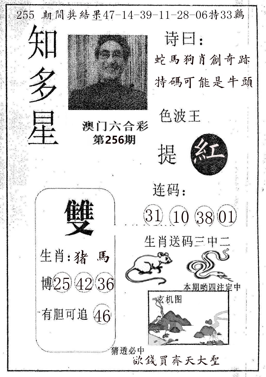 知多星 第256期