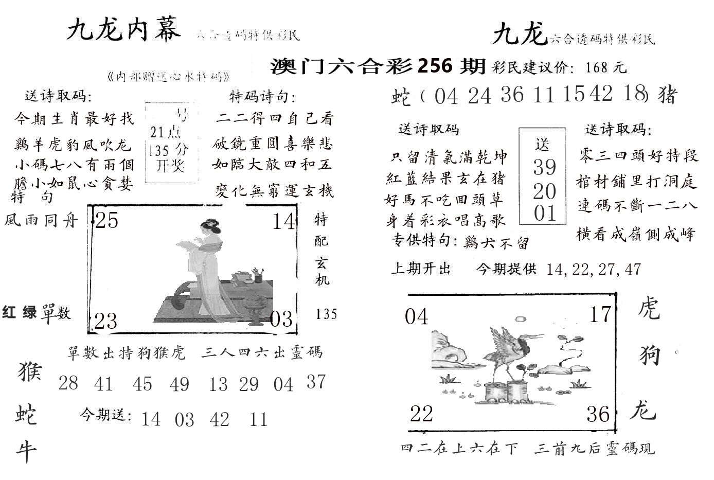 九龙内幕 第256期