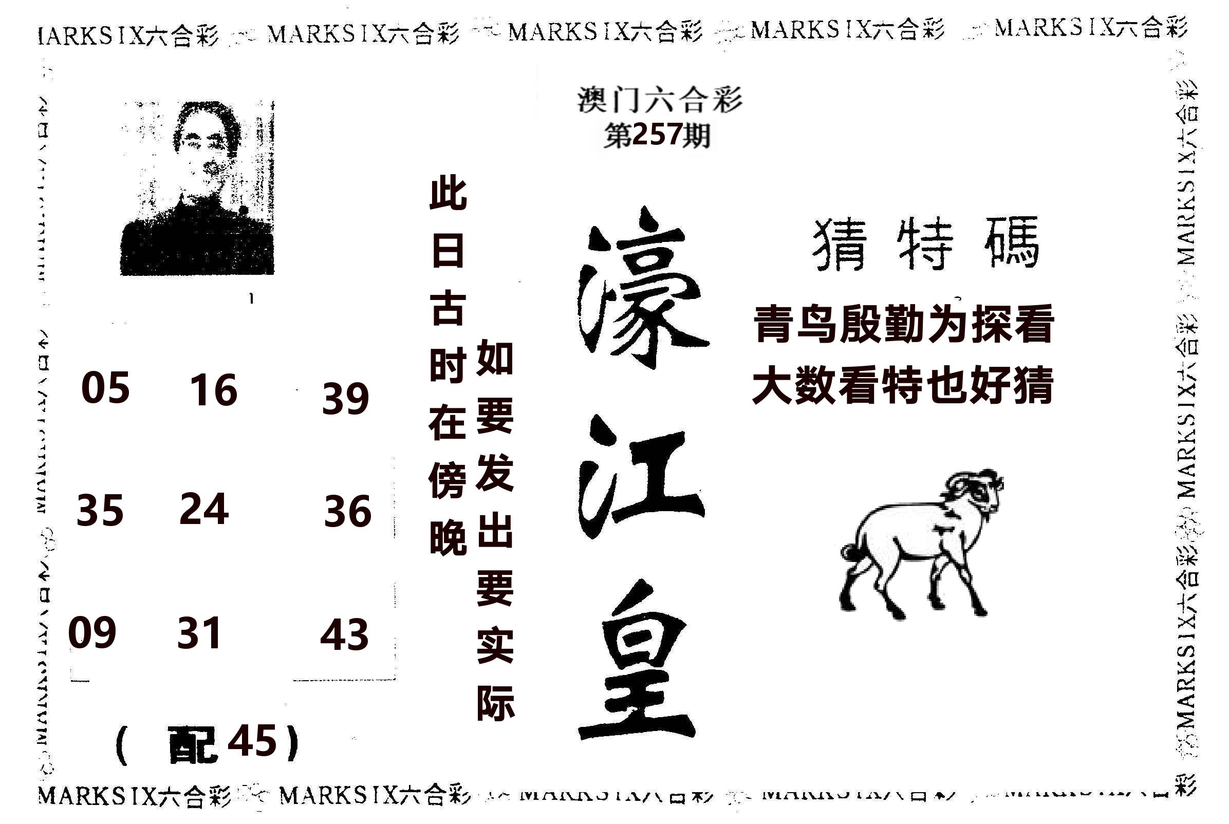 濠江皇 第257期