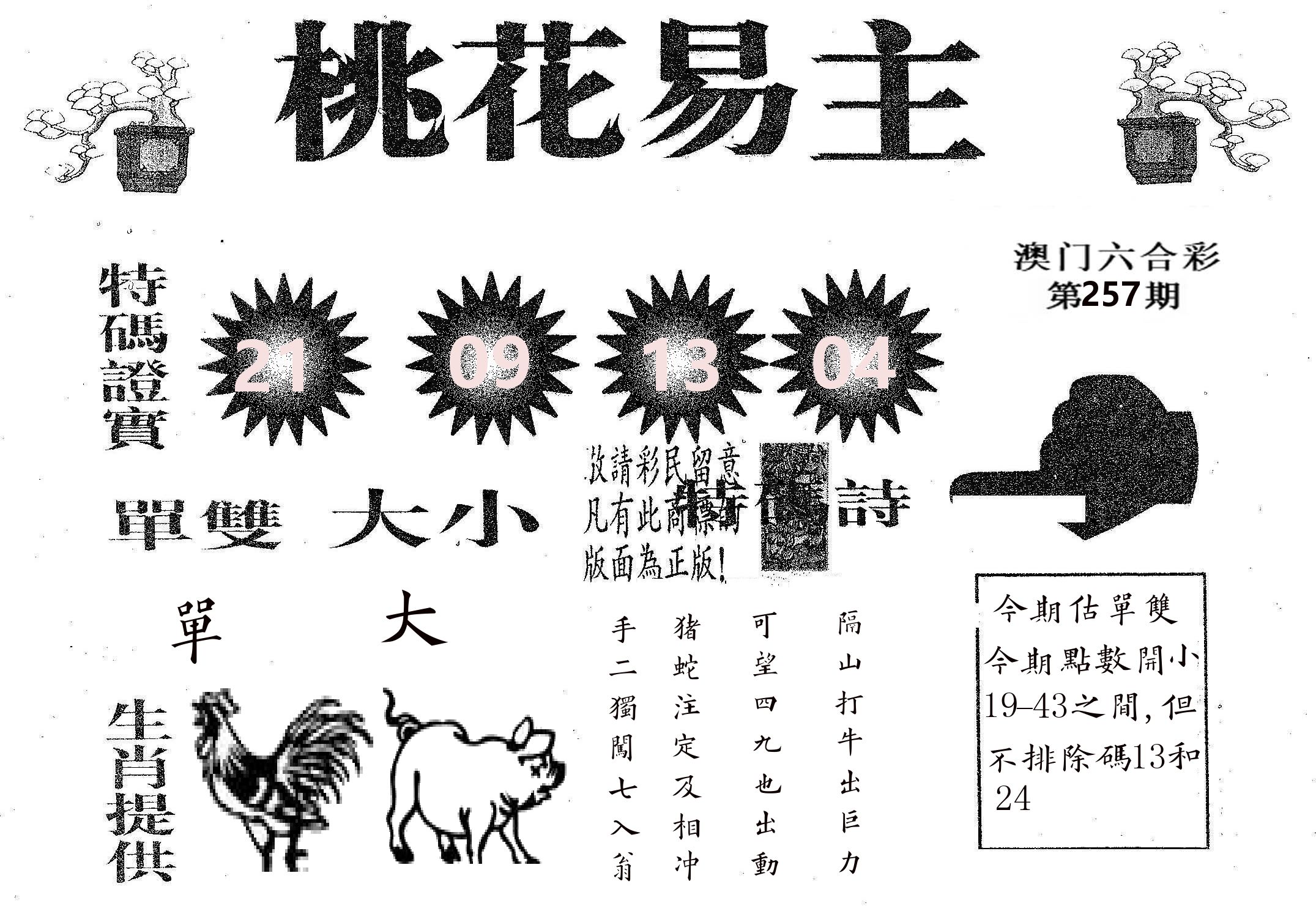 桃花易主 第257期