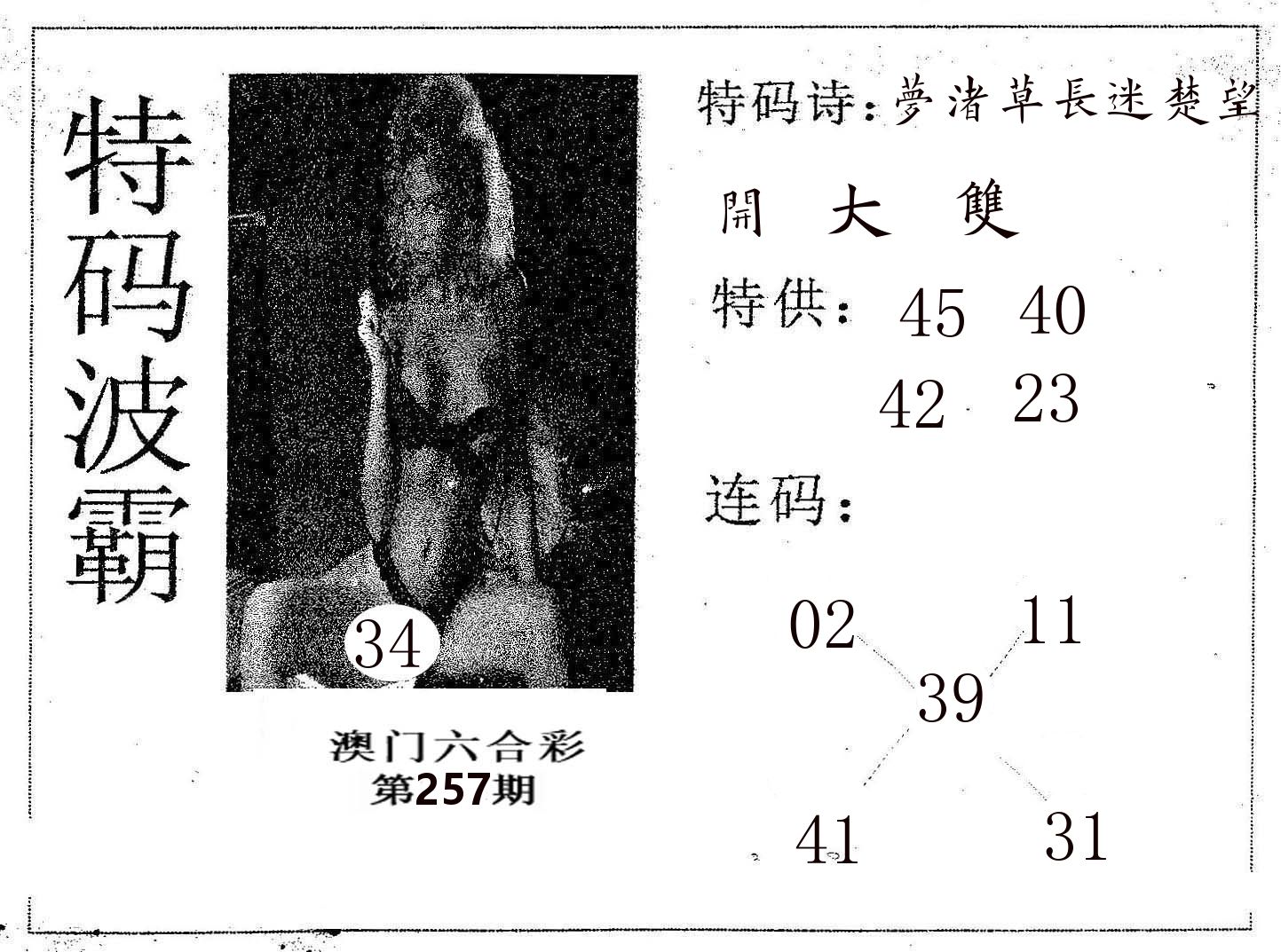 特码波霸 第257期