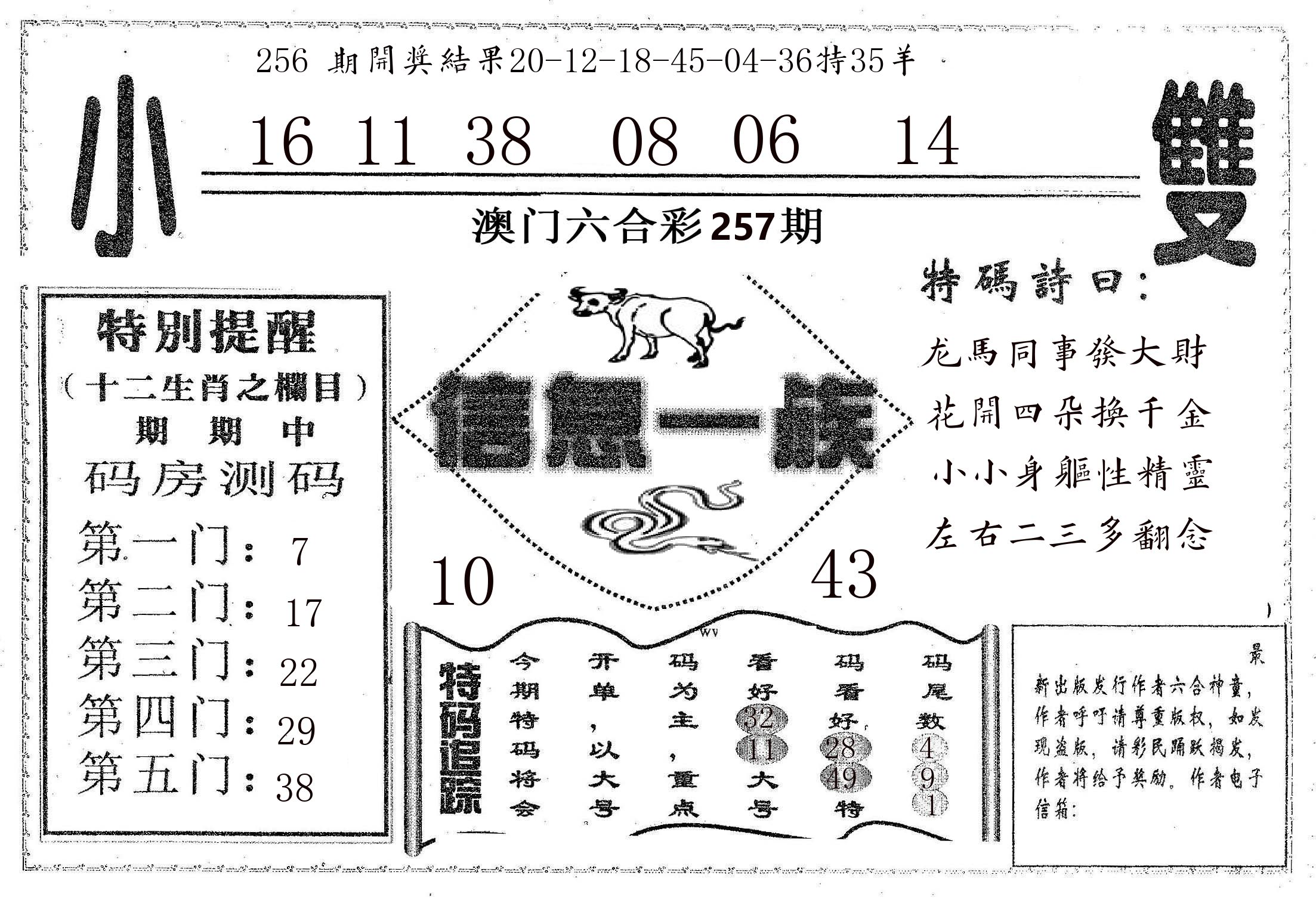 信息一族 第257期