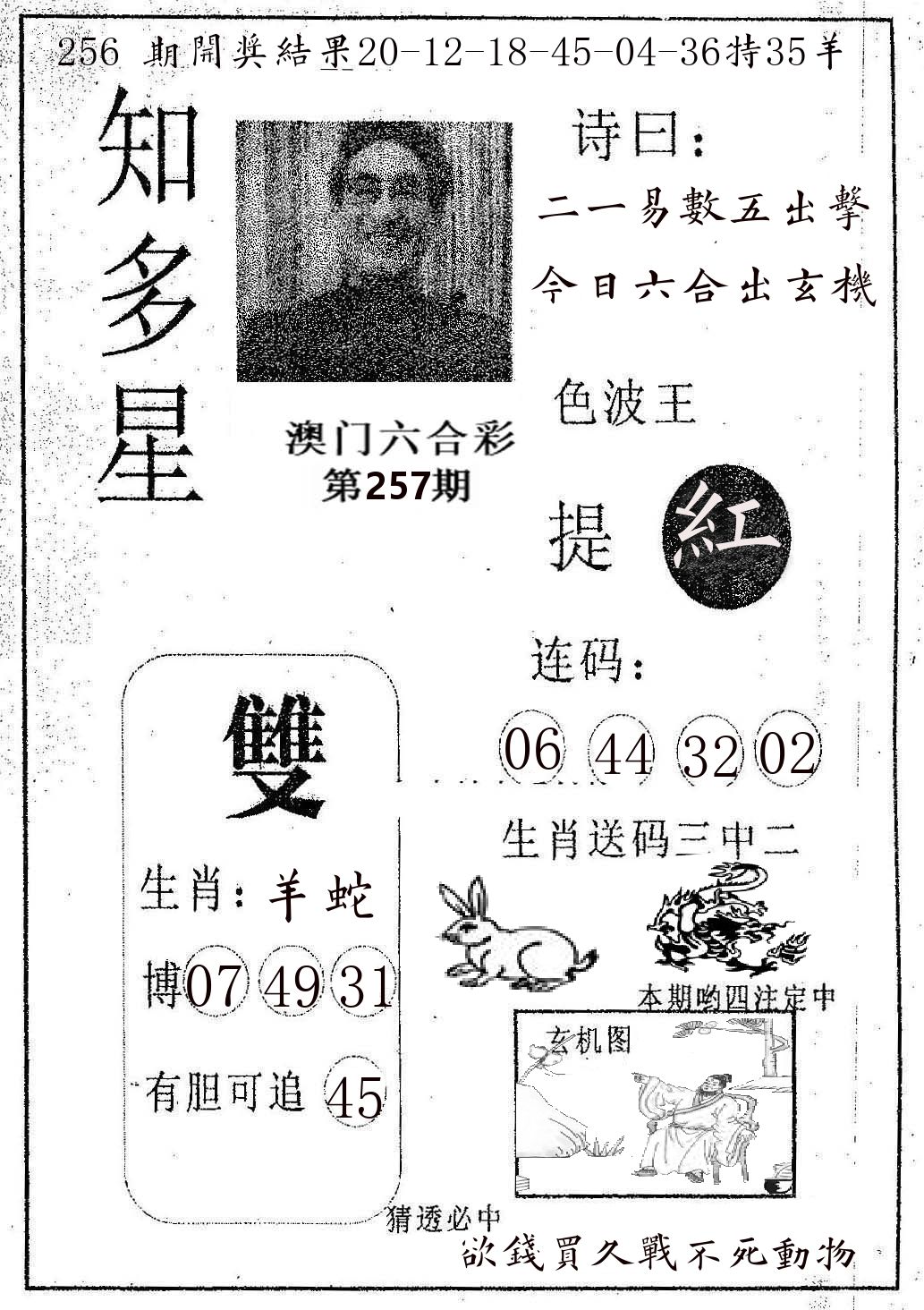 知多星 第257期