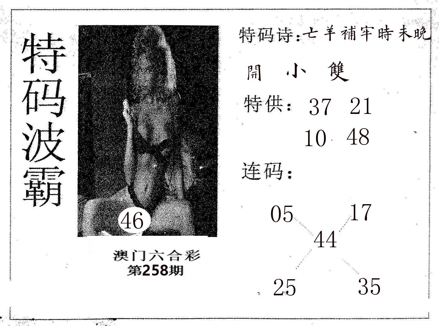 特码波霸 第258期