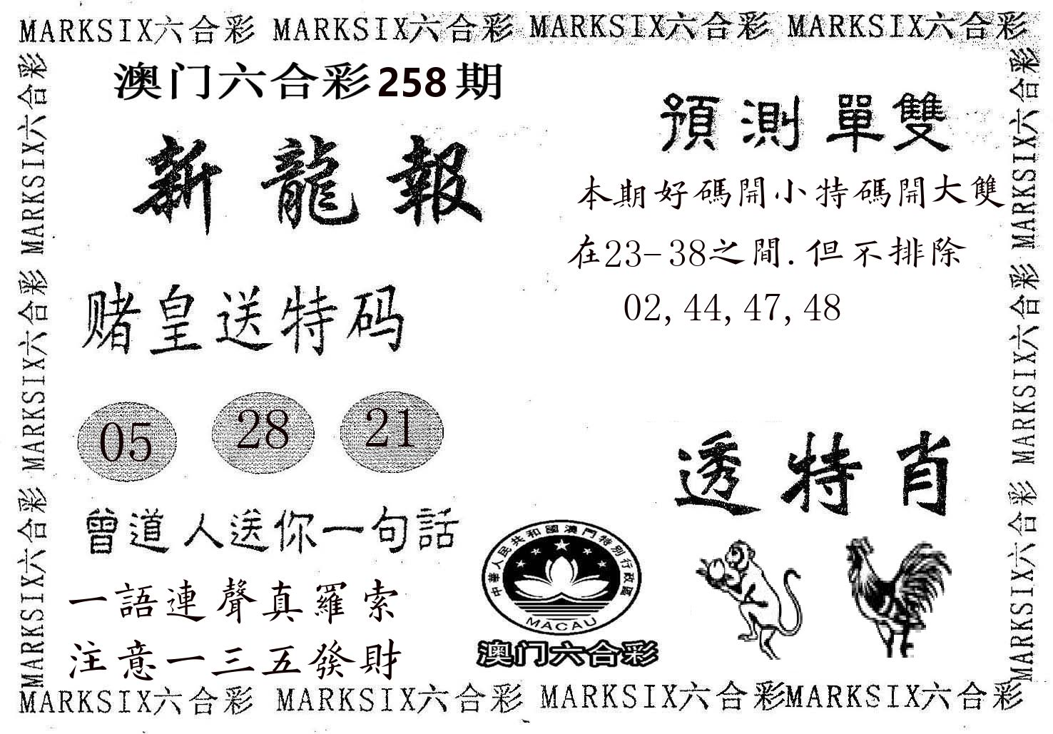 新龙报 第258期
