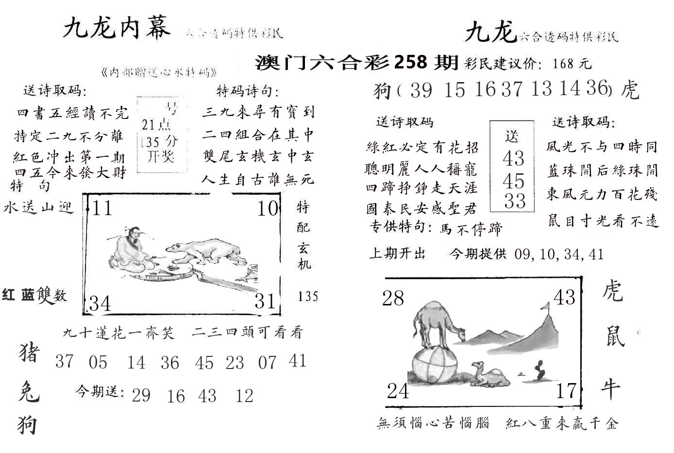 九龙内幕 第258期