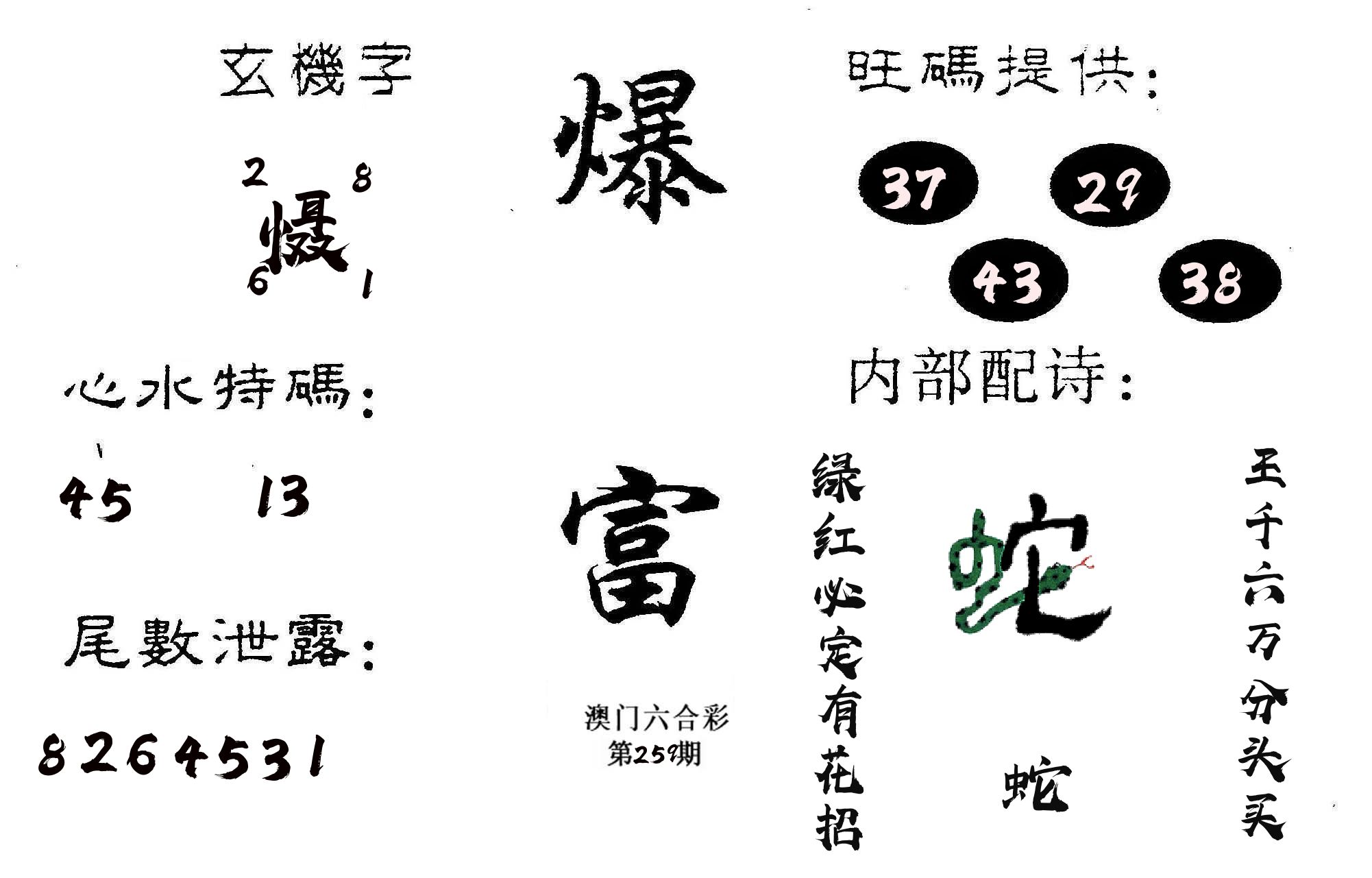 爆富 第259期