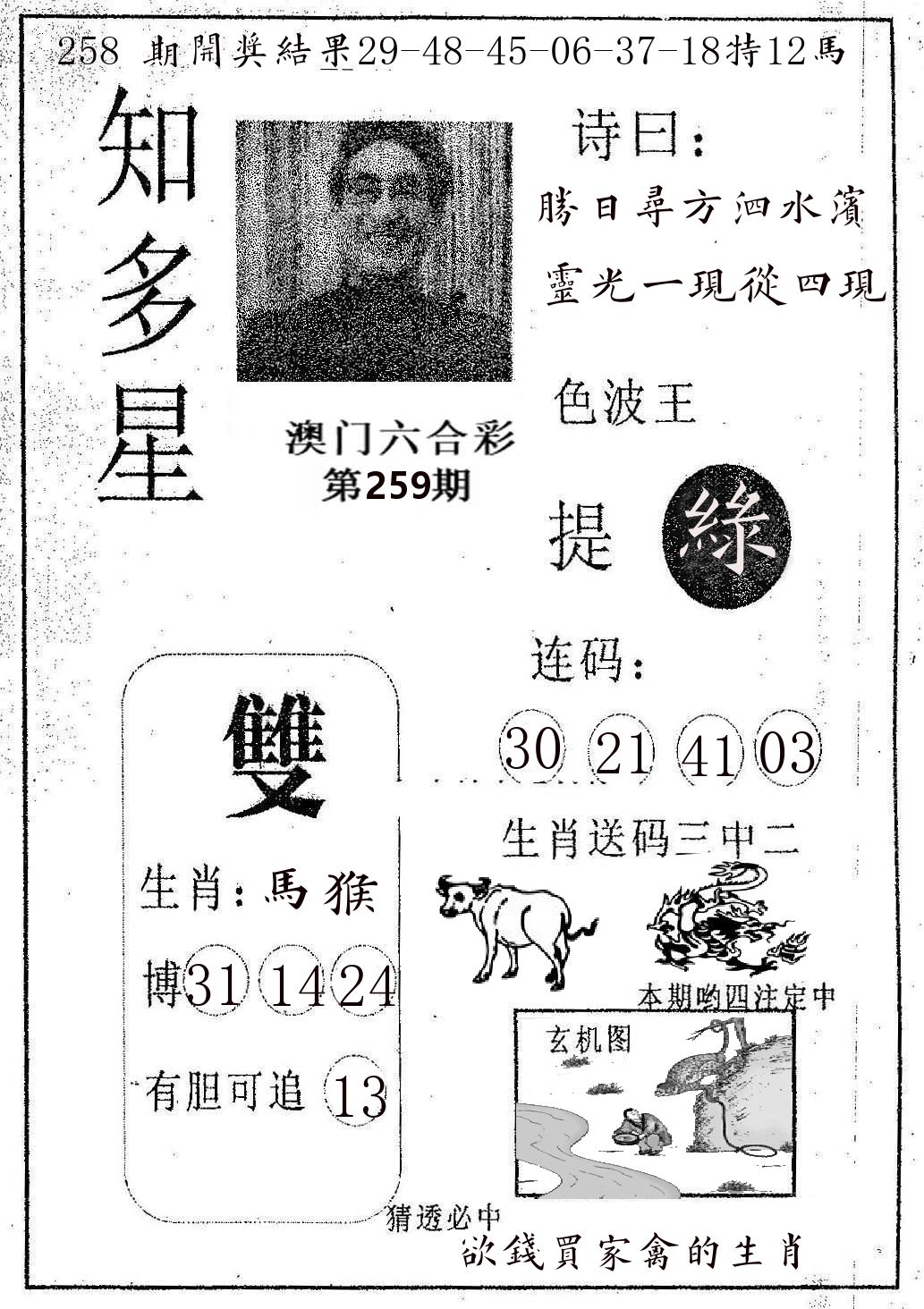 知多星 第259期