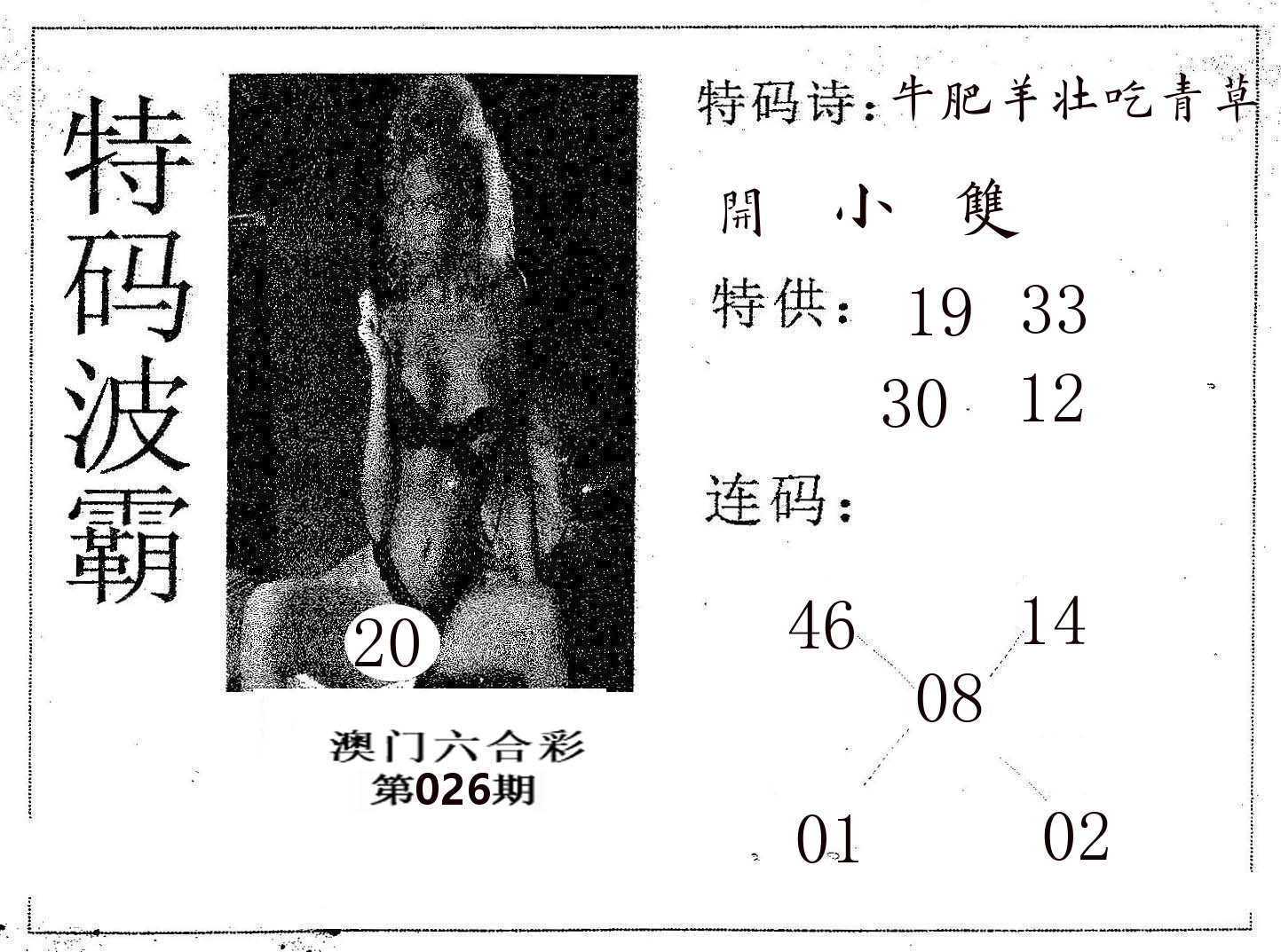 特码波霸 第26期