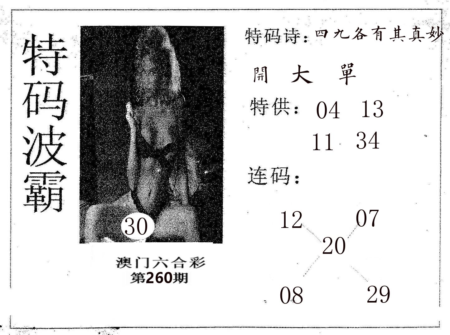 特码波霸 第260期