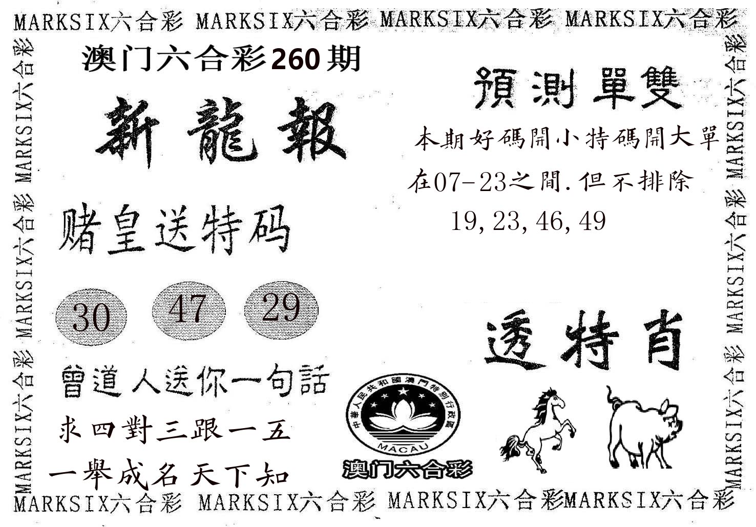 新龙报 第260期