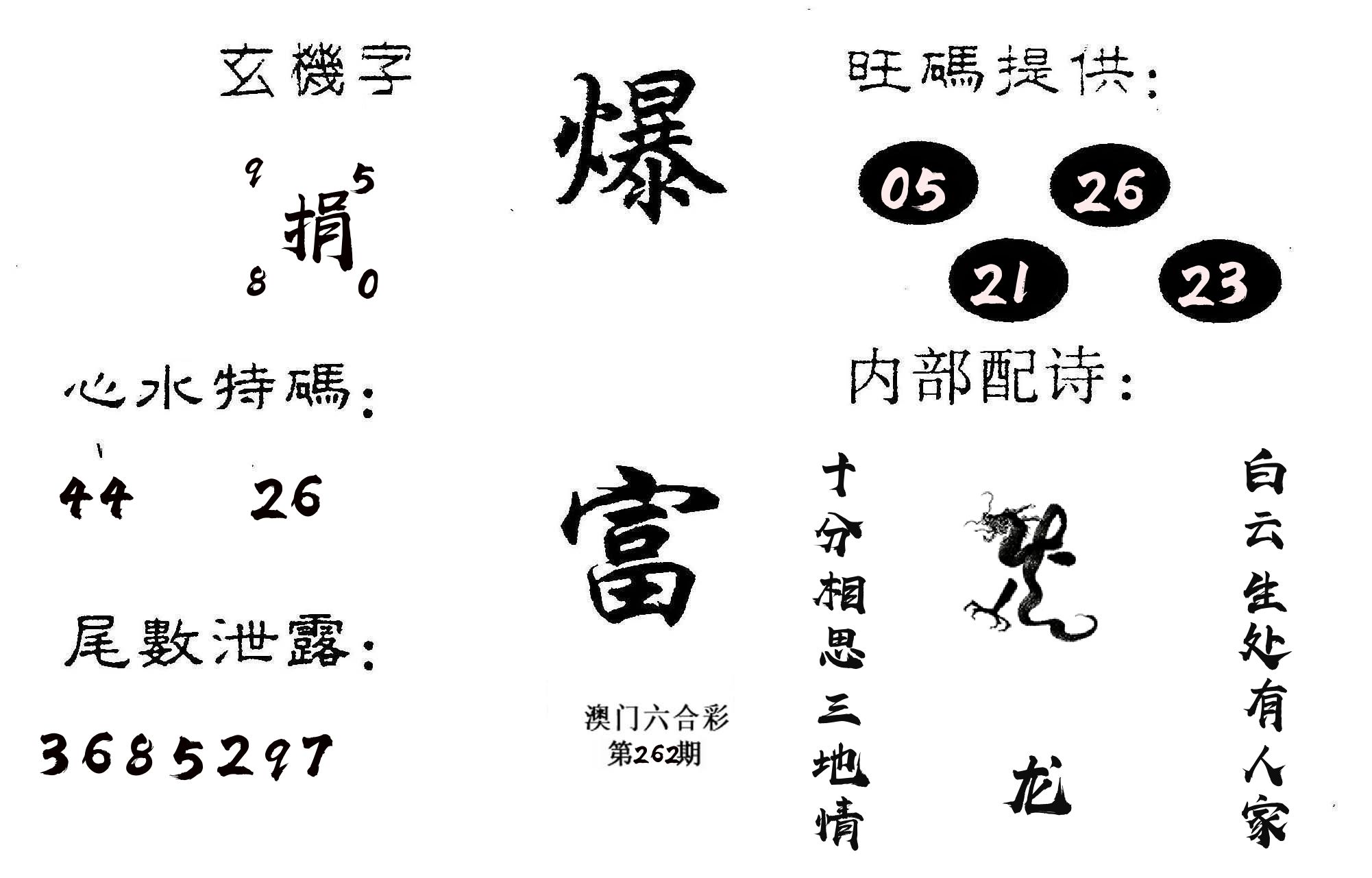爆富 第262期