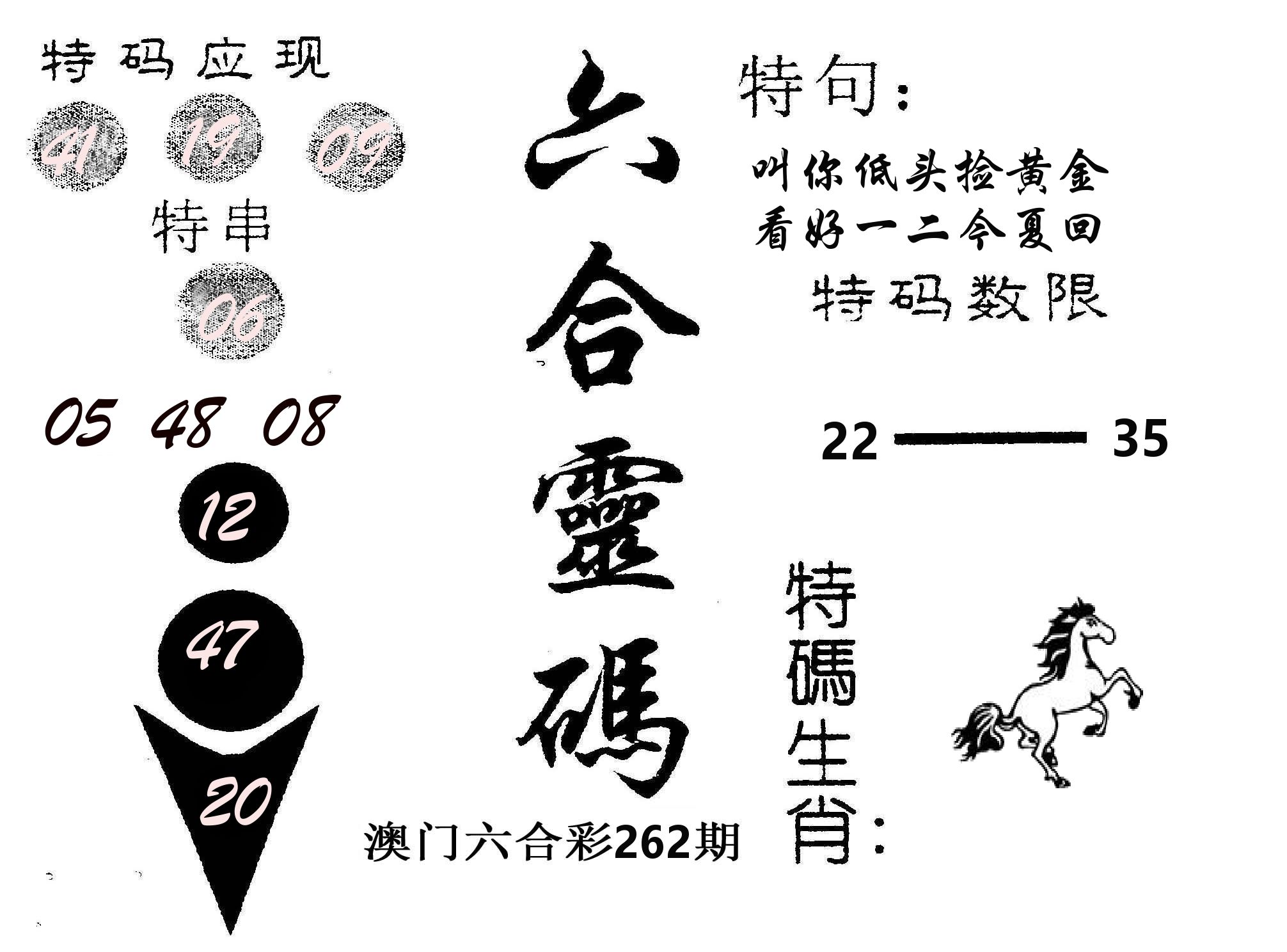 六合灵码 第262期