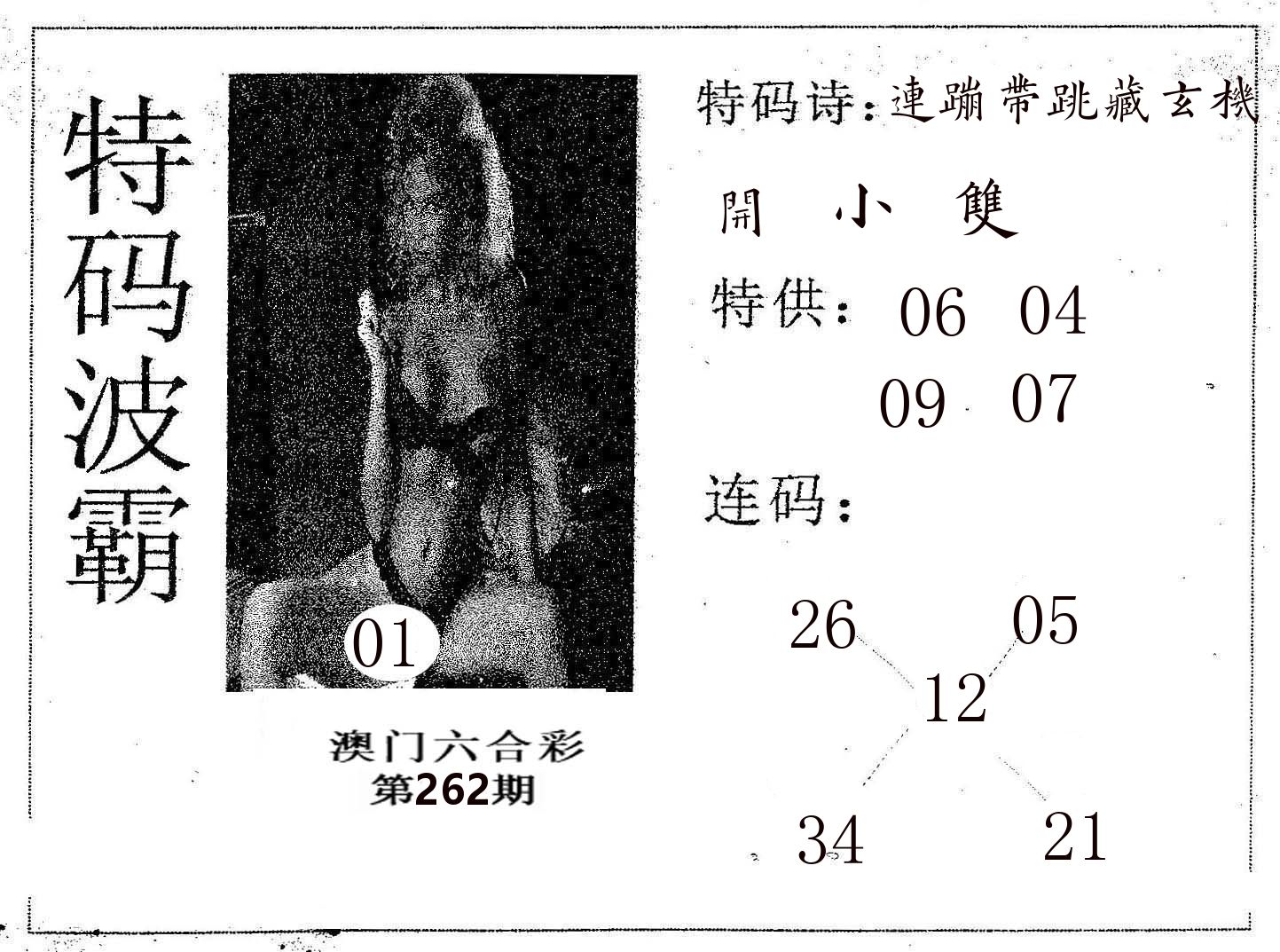 特码波霸 第262期