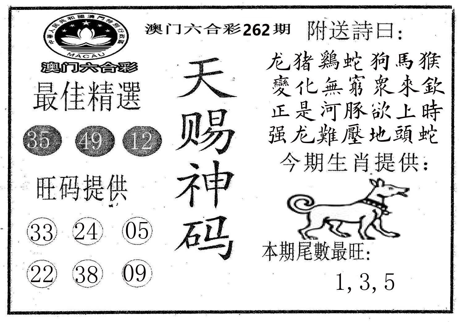 天赐神码 第262期