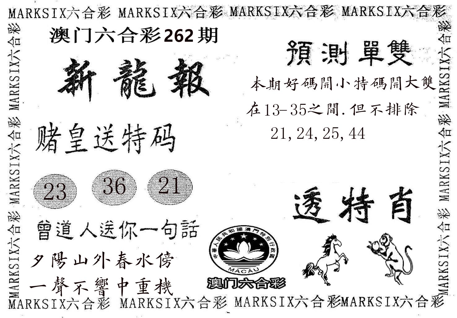 新龙报 第262期