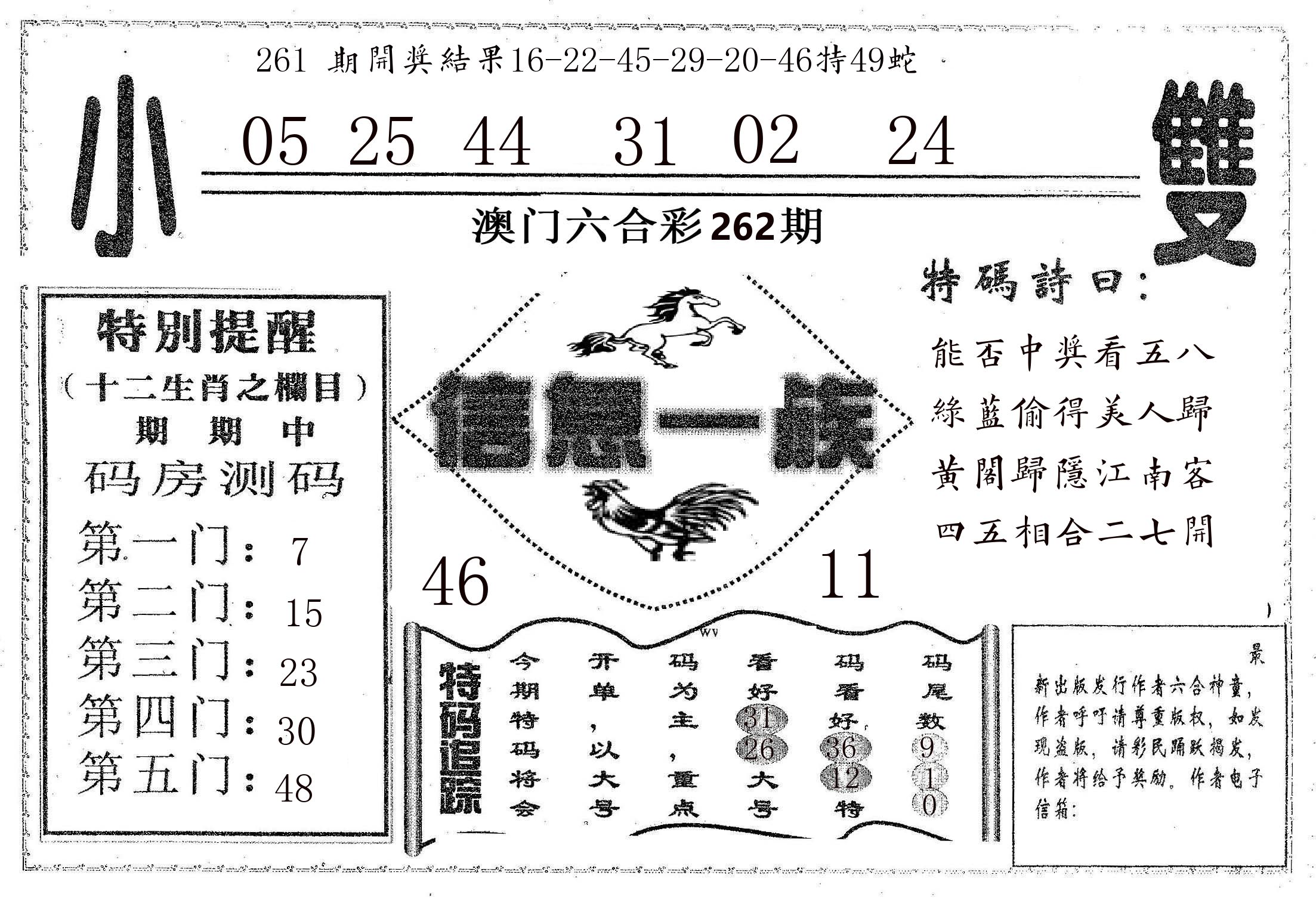 信息一族 第262期