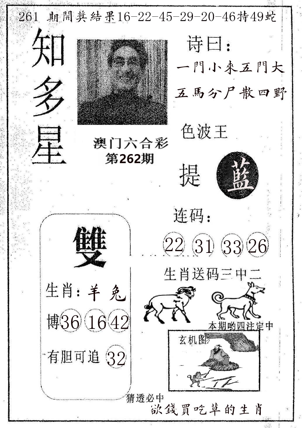 知多星 第262期