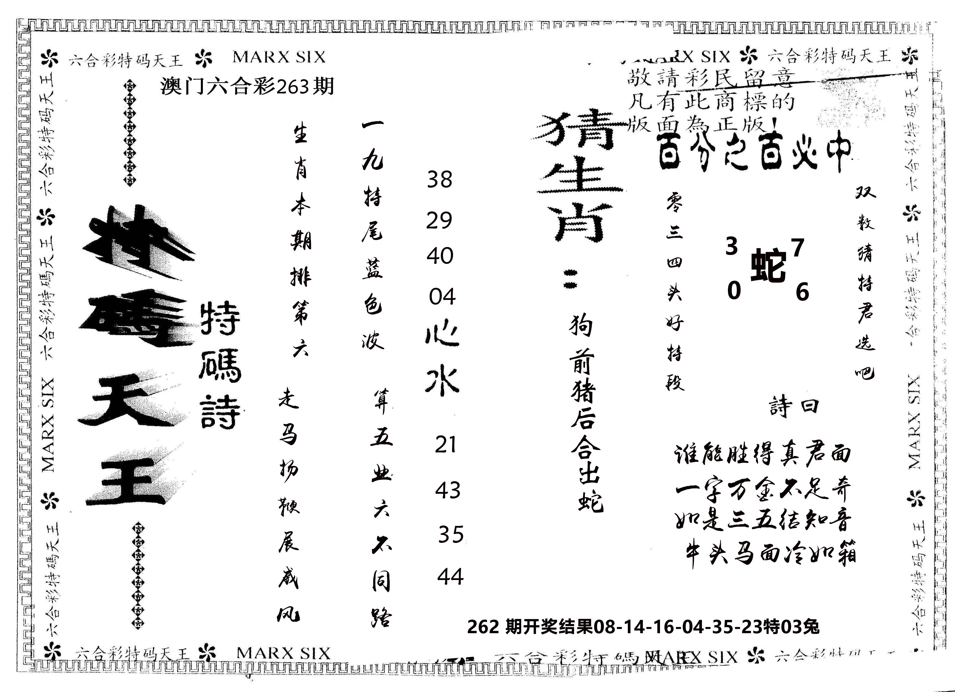另版特码天王 第263期