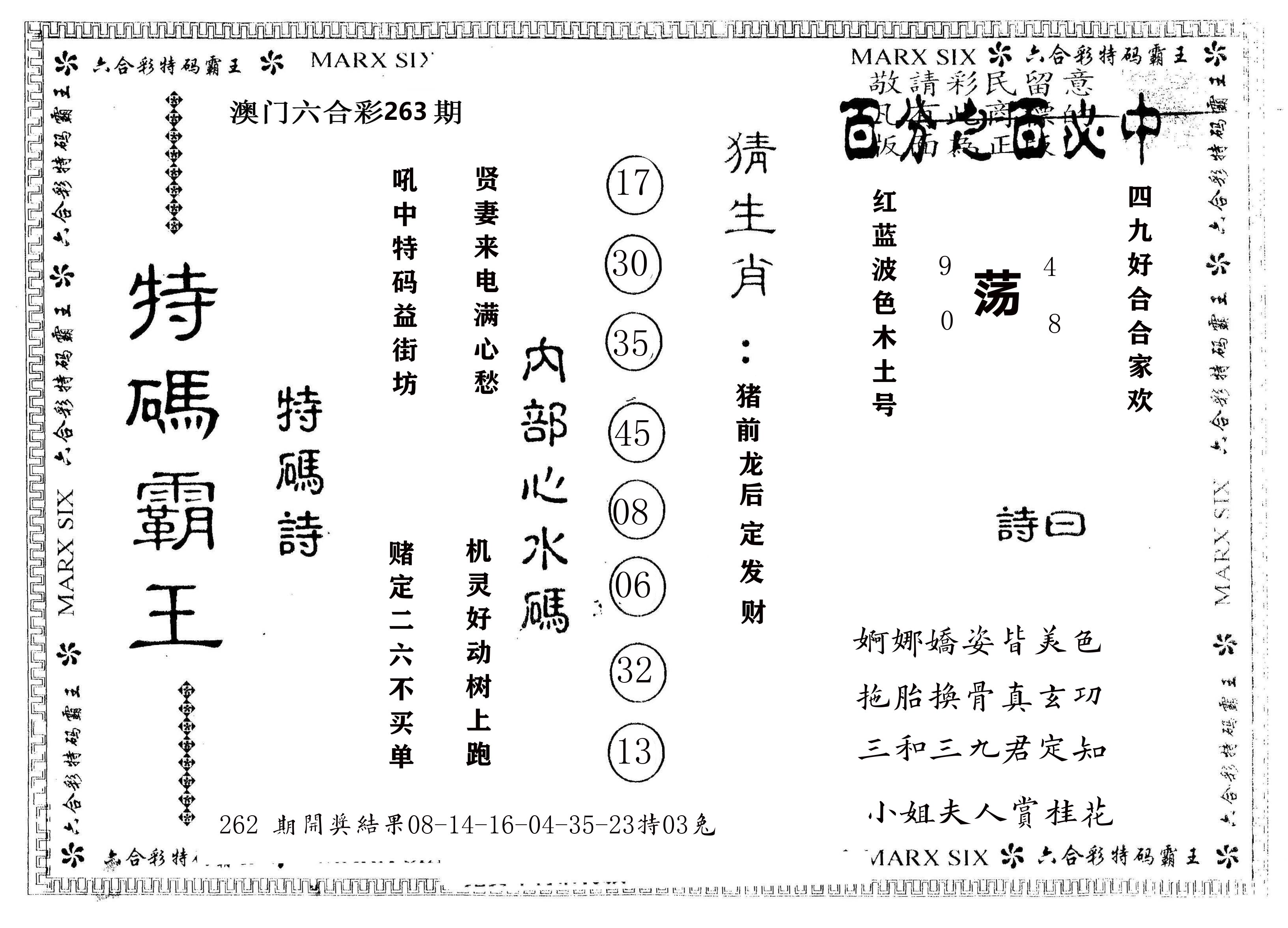 另版特码霸王 第263期