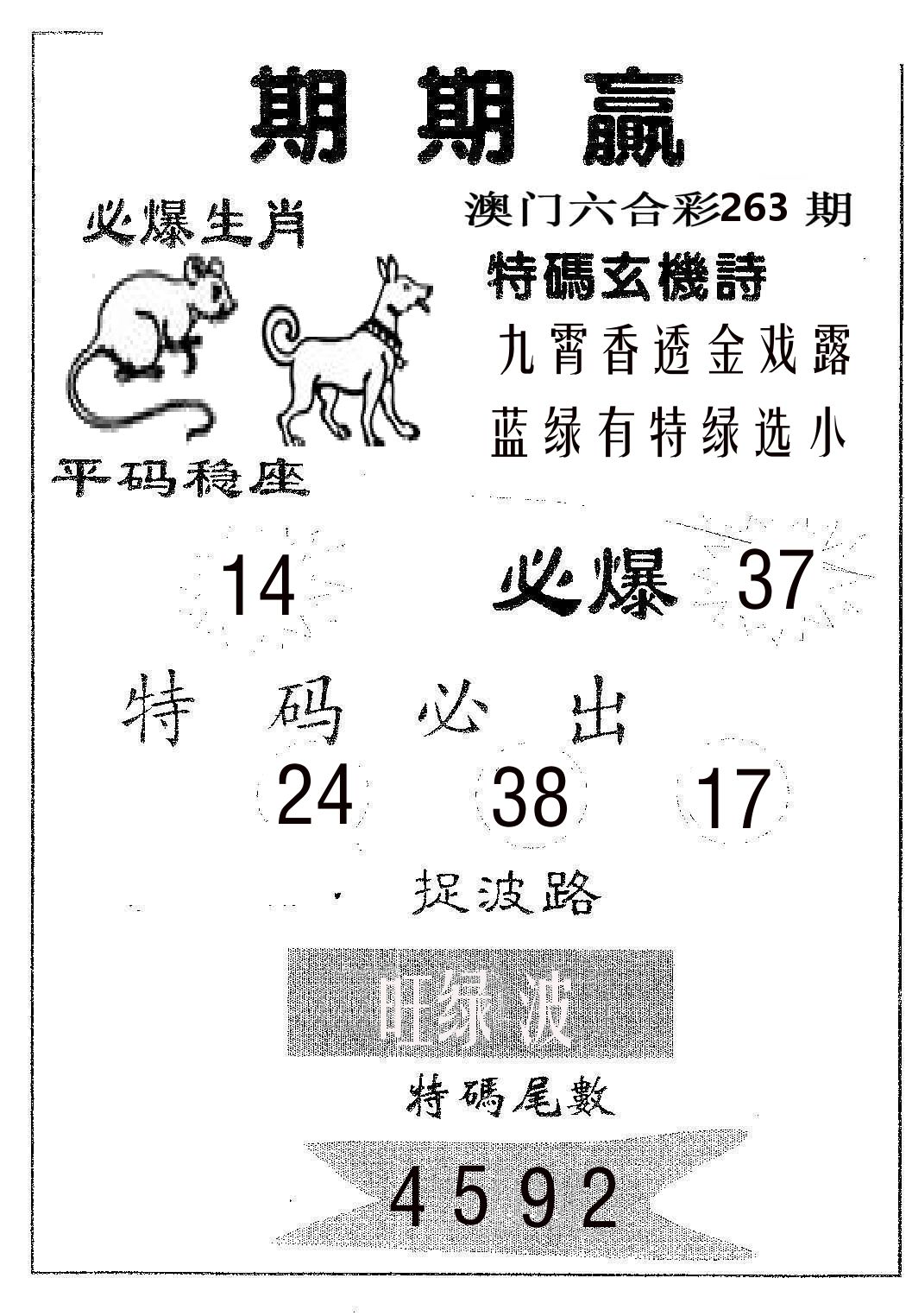 期期赢 第263期
