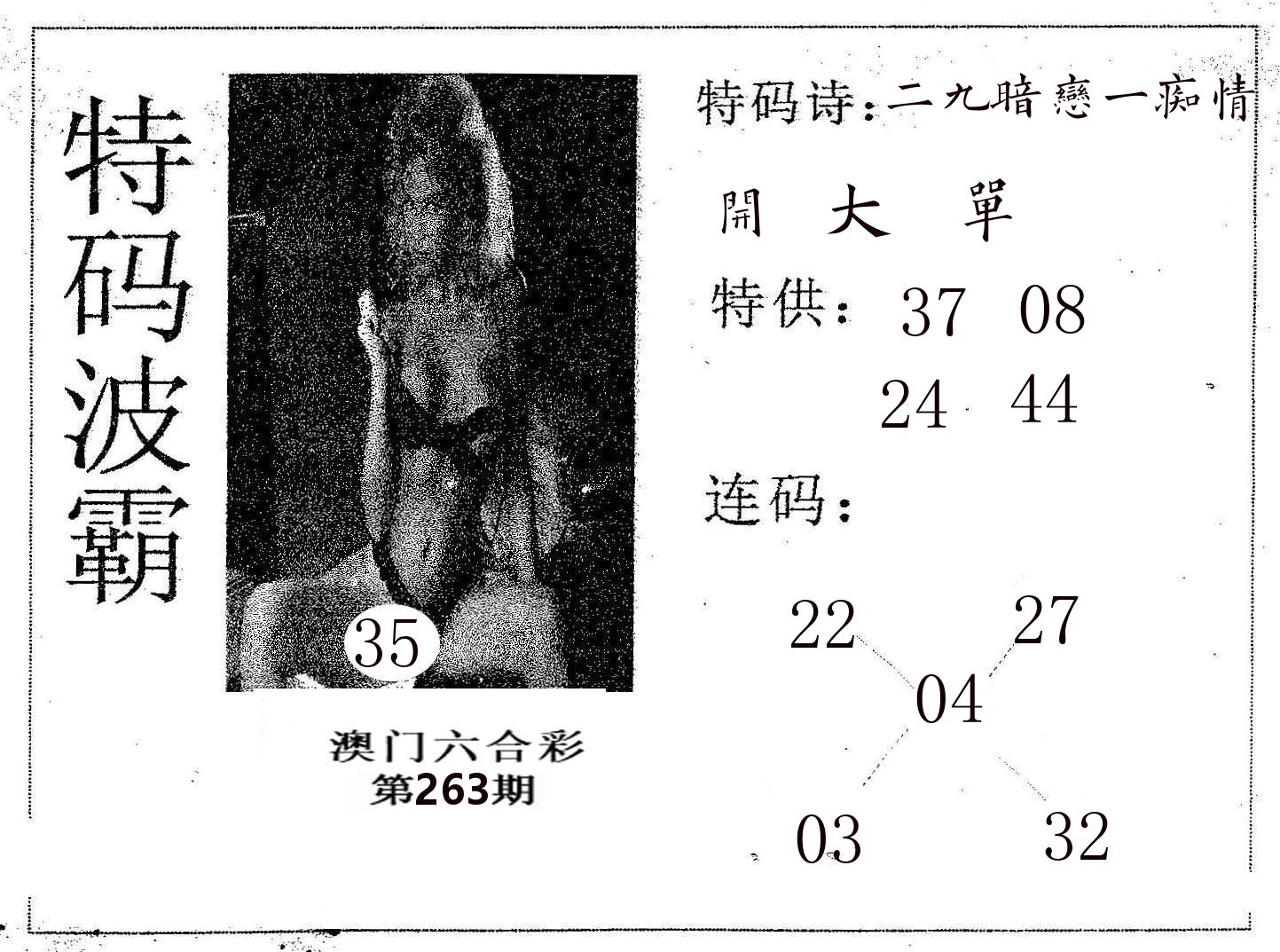 特码波霸 第263期