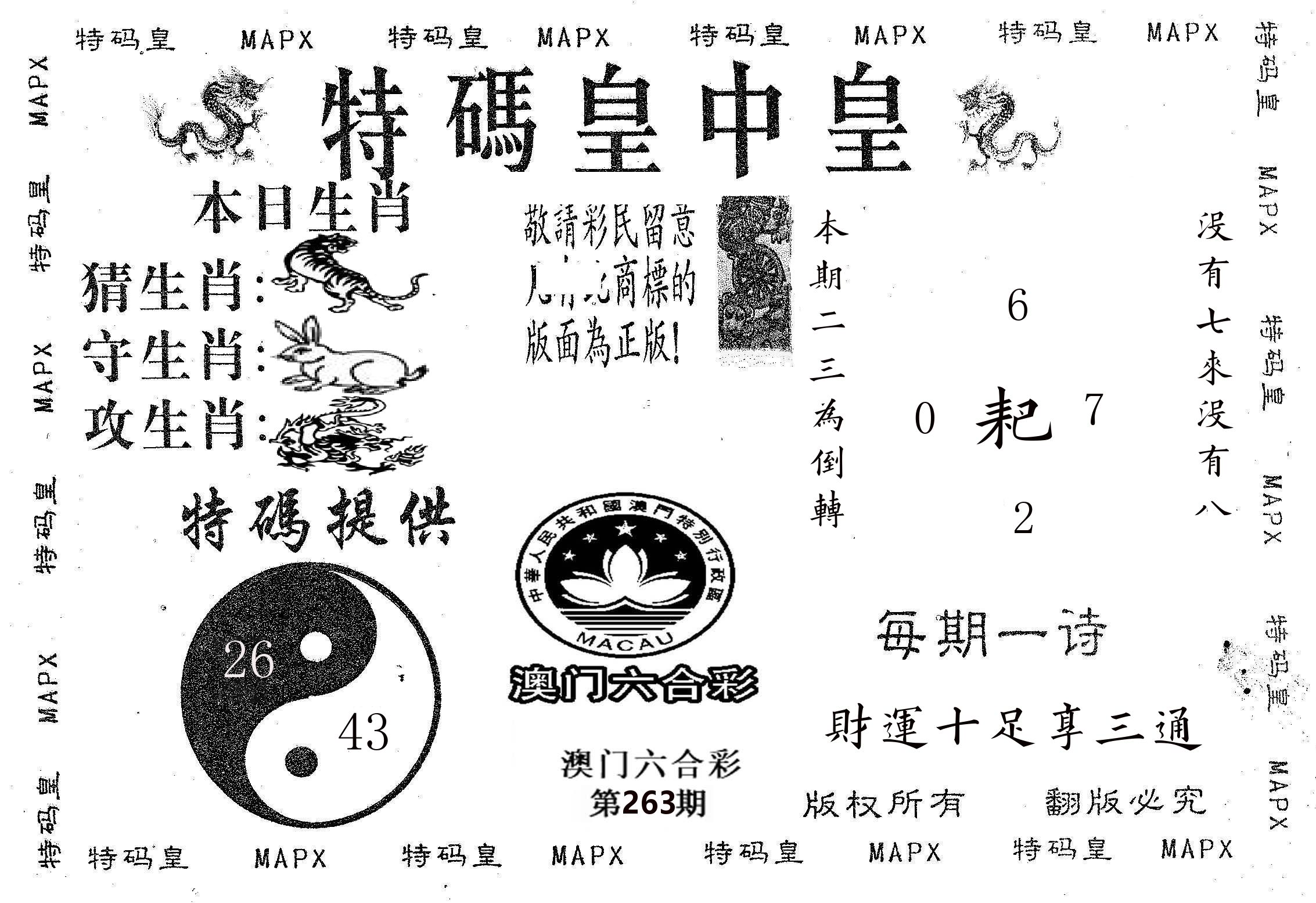 皇中皇B 第263期