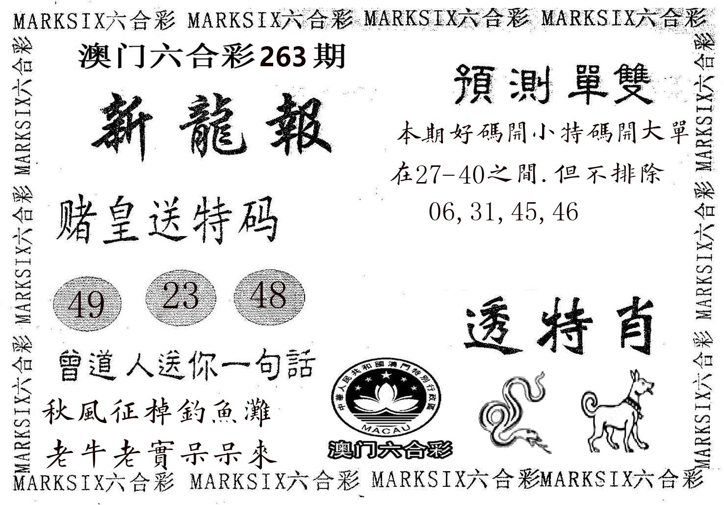 新龙报 第263期