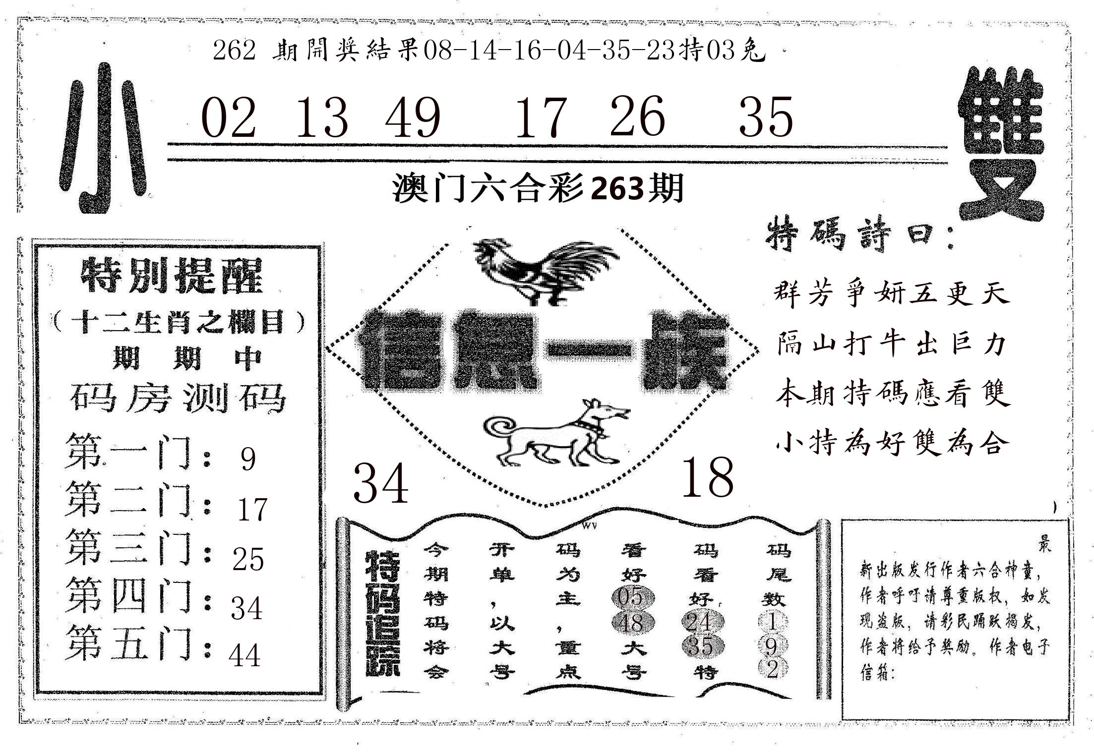 信息一族 第263期