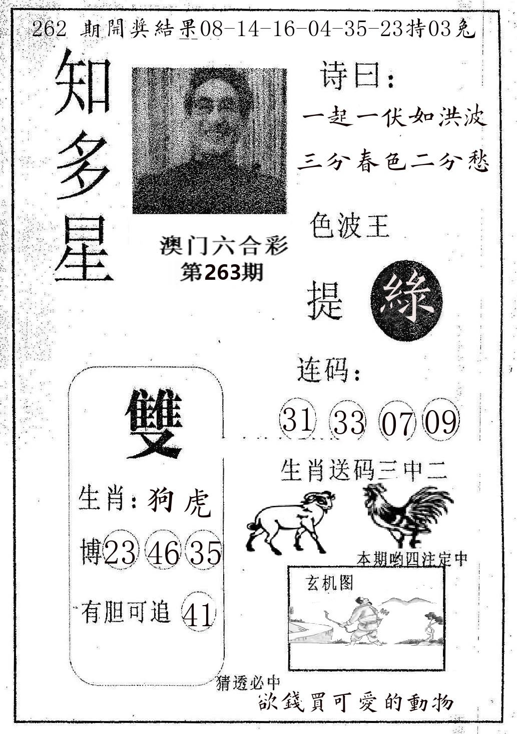 知多星 第263期