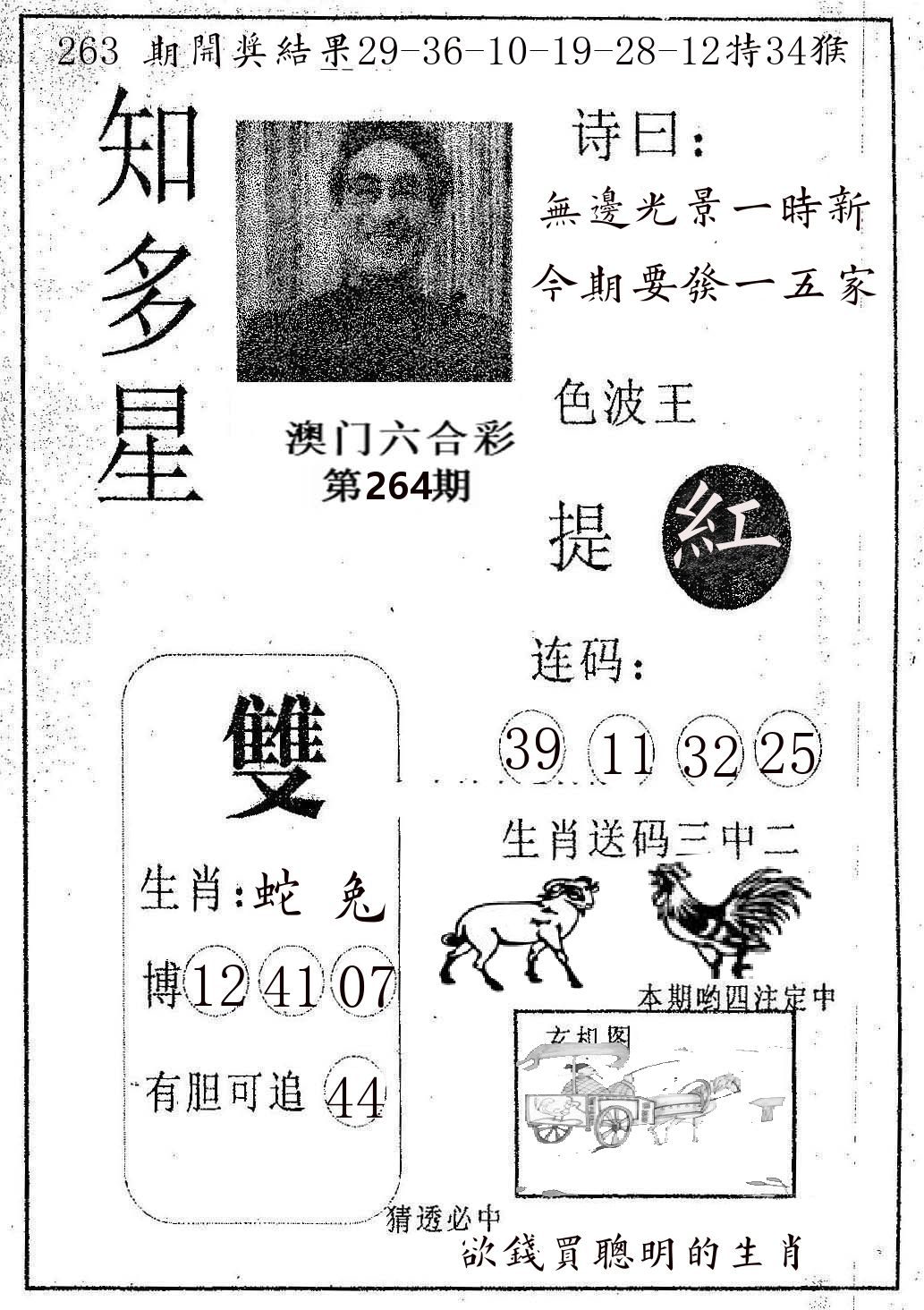 知多星 第264期