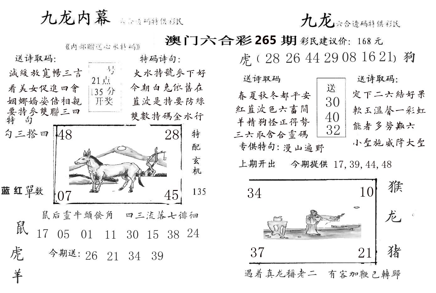 九龙内幕 第265期