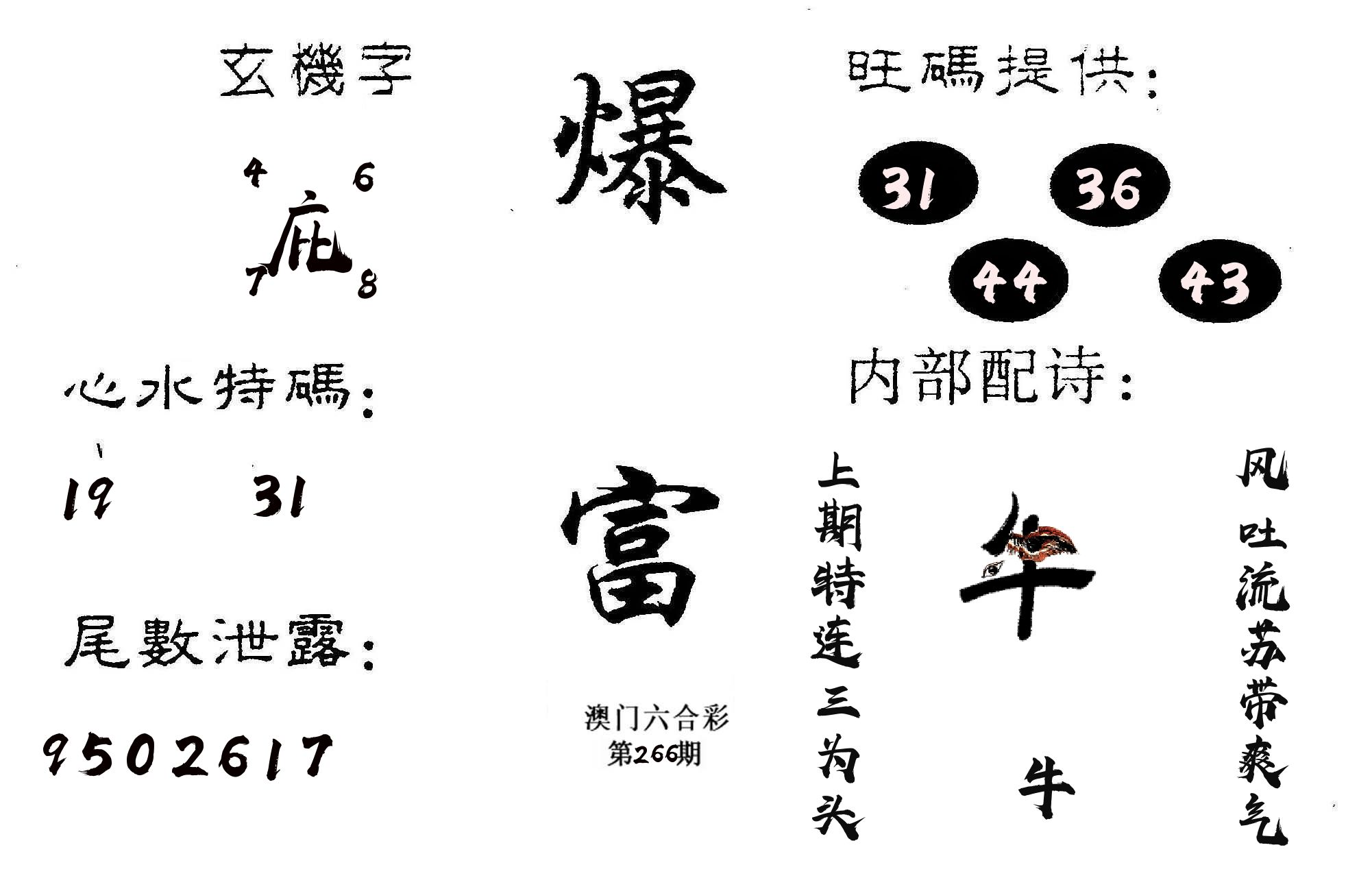 爆富 第266期