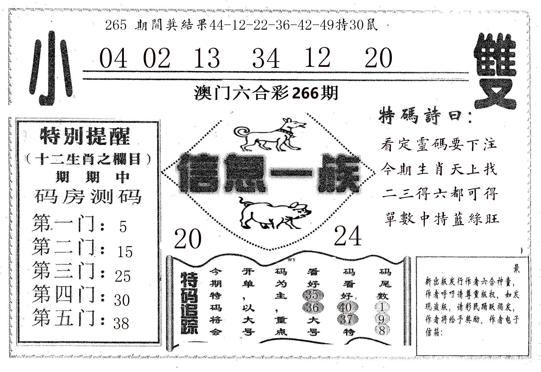 信息一族 第266期