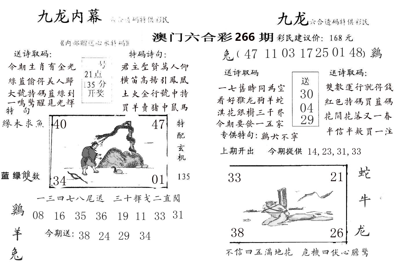 九龙内幕 第266期