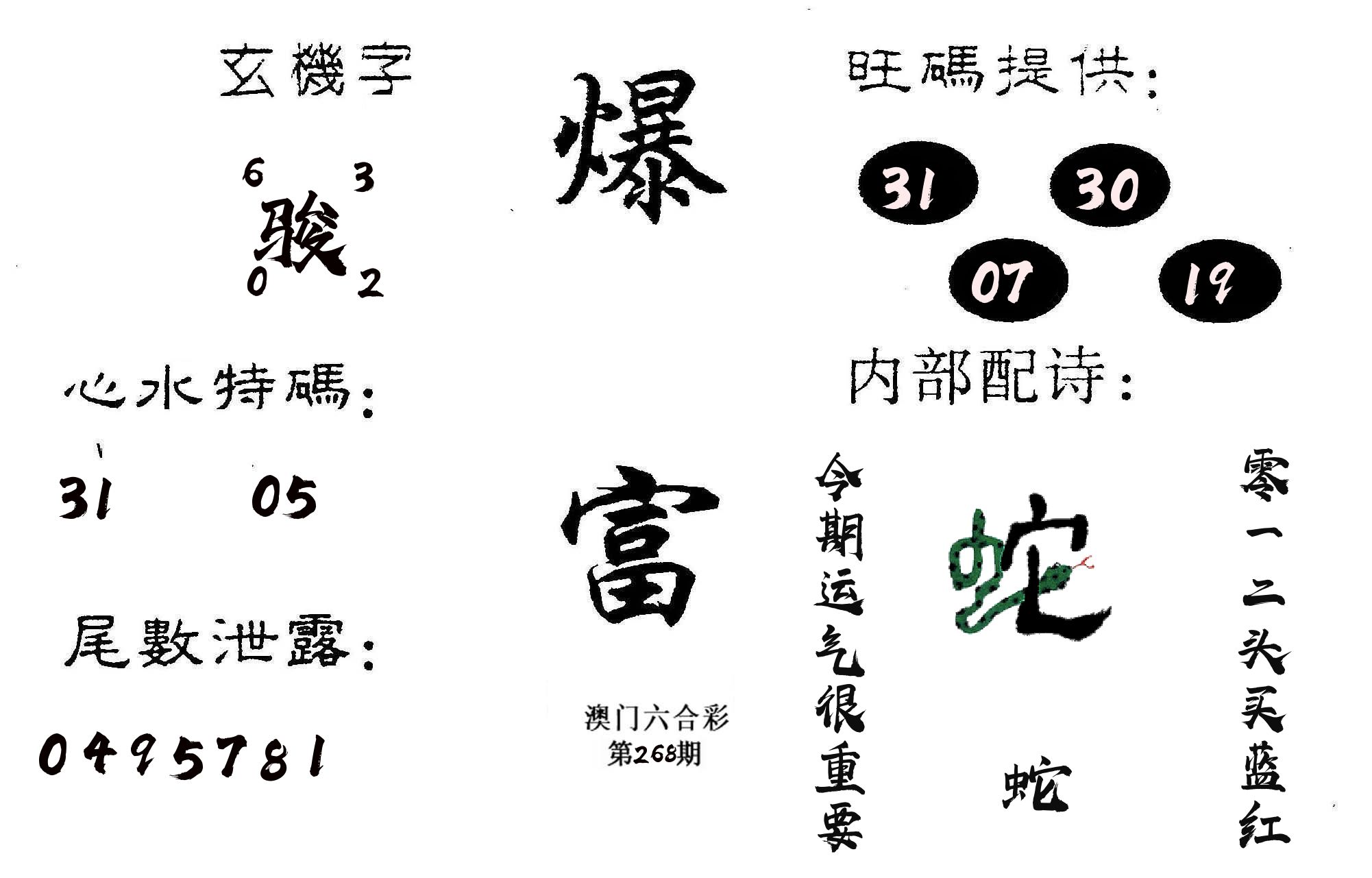 爆富 第268期