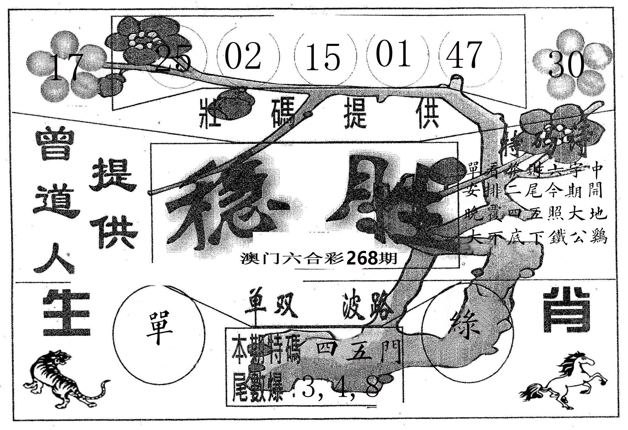 稳胜 第268期