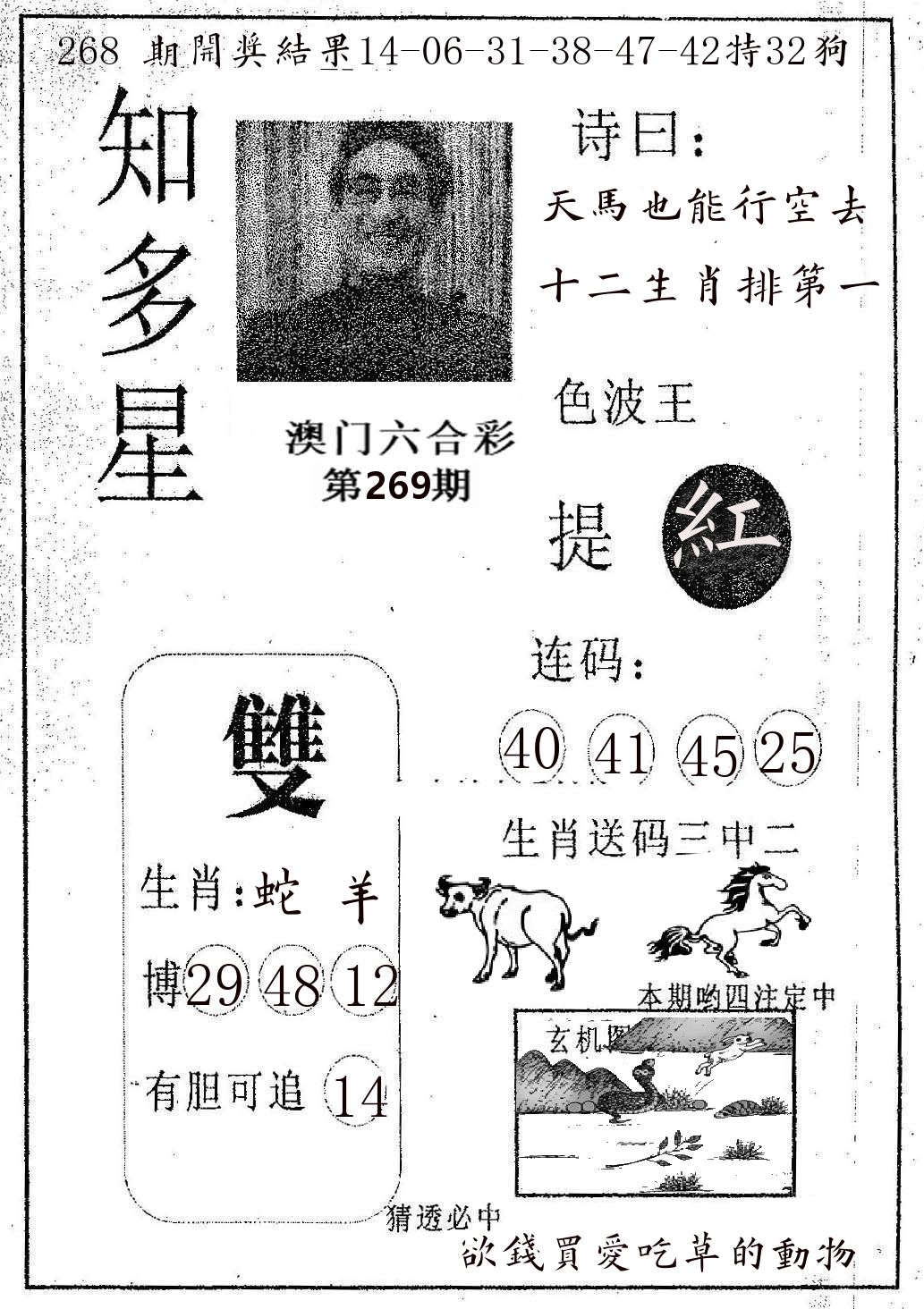 知多星 第269期