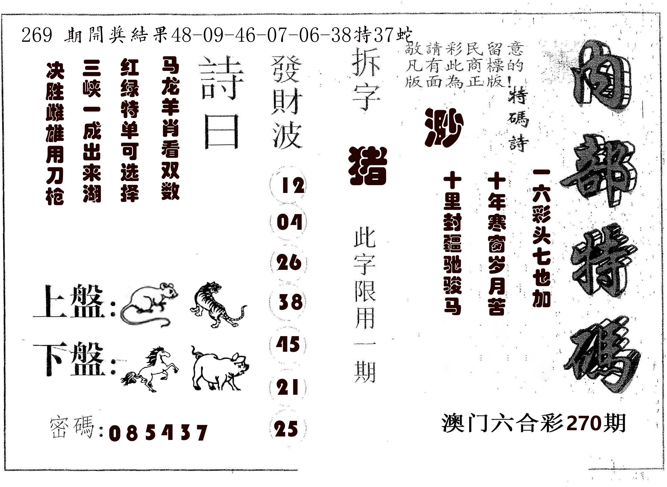 内部特码 第270期