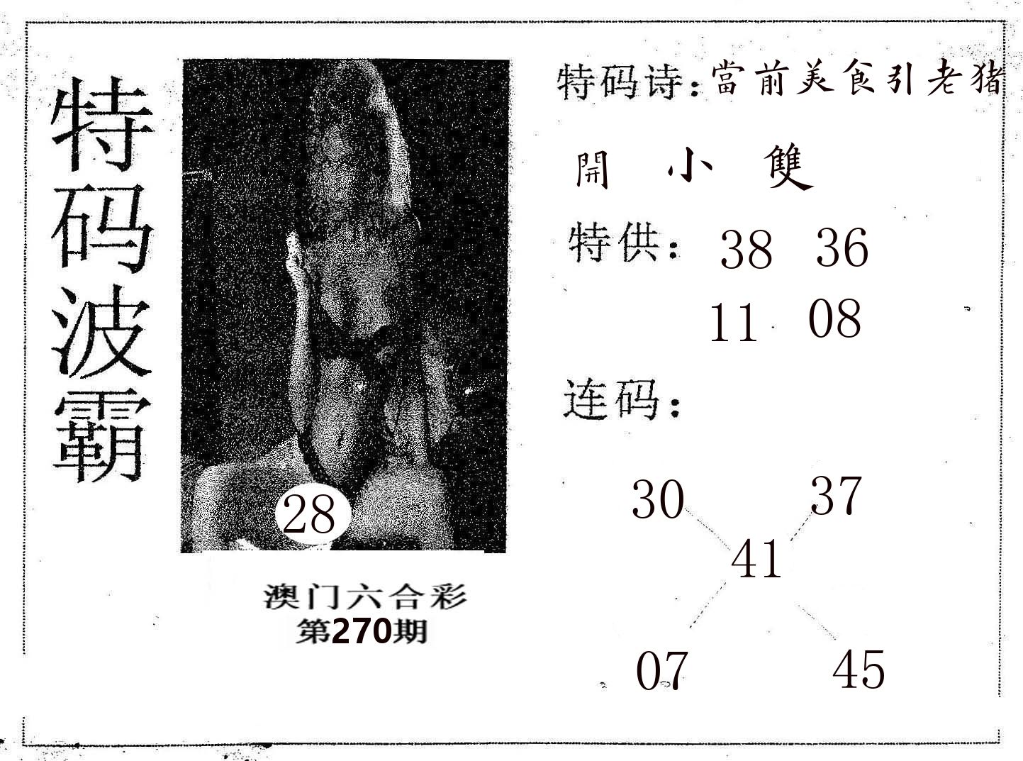 特码波霸 第270期