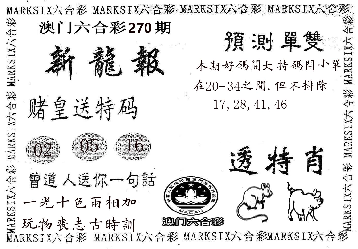 新龙报 第270期