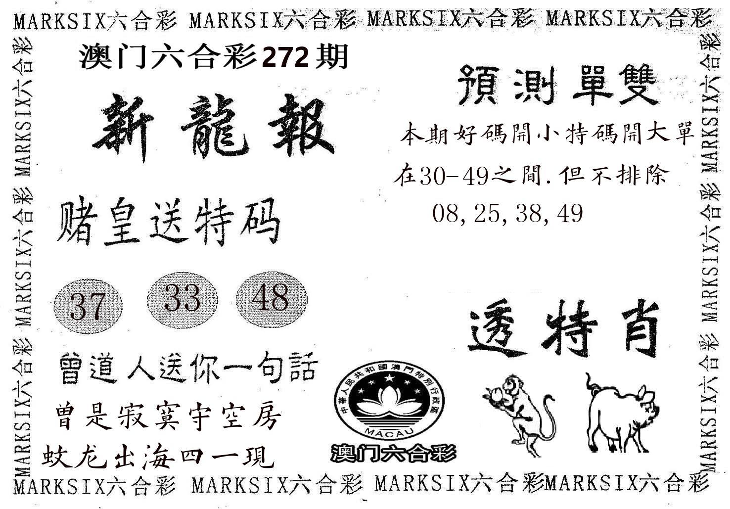 新龙报 第272期