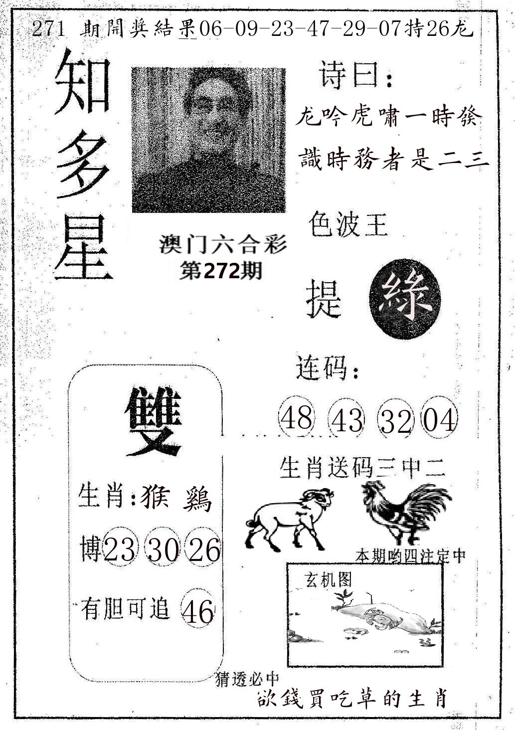 知多星 第272期