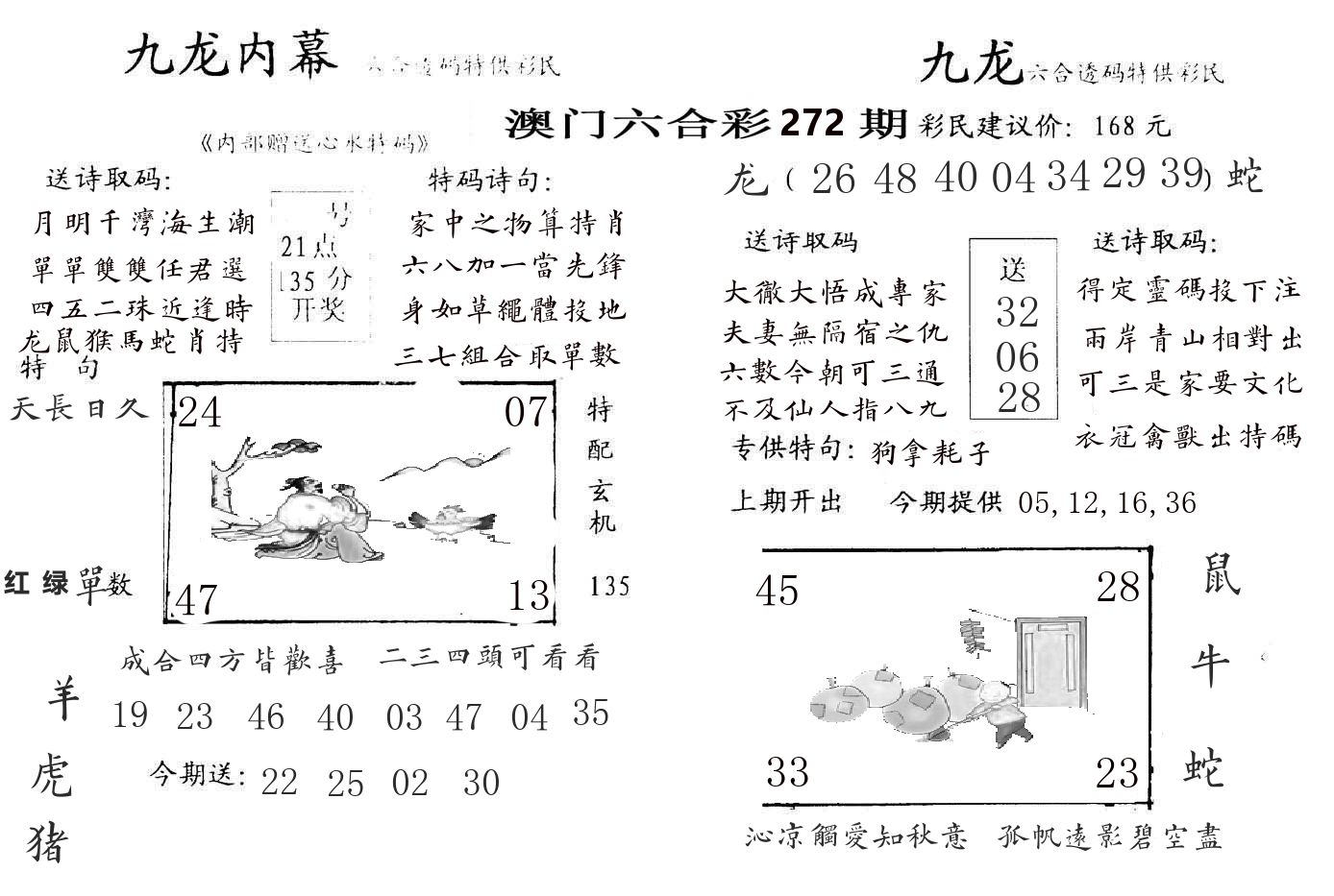 九龙内幕 第272期